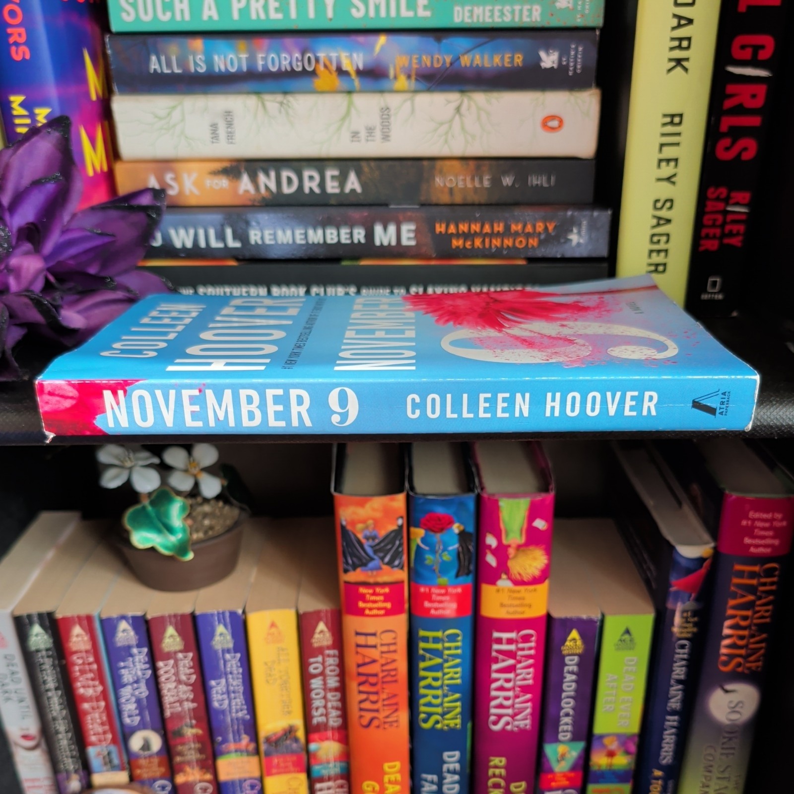 November 9 : A Novel by Colleen Hoover (2015, Trade Paperback)