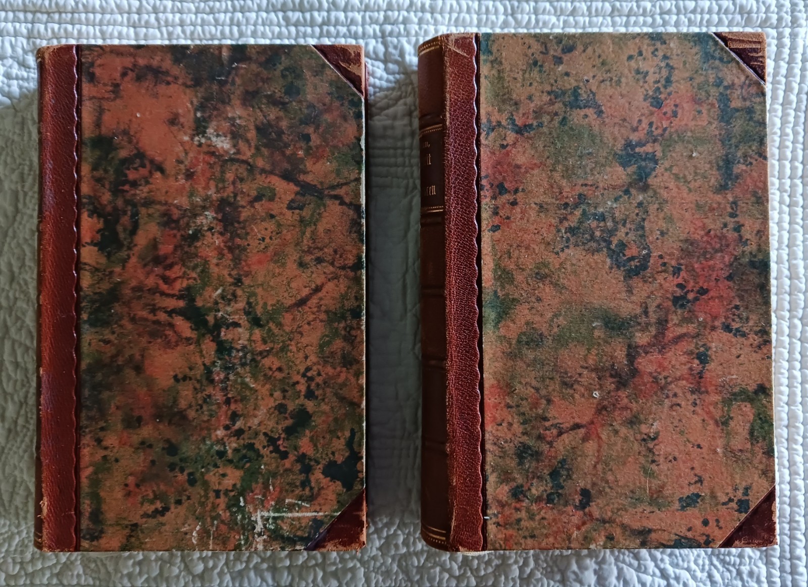 Versuch über die Ungleichheit Der Menschenracen, Gobineau, Volumes 1 & II, 1922