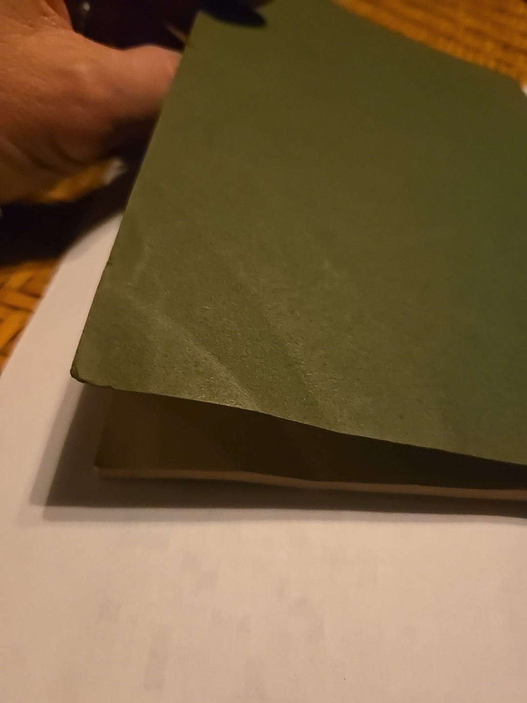 Einsteins Theory of Gravitation by Freundlich 1922 rare early General Relativity
