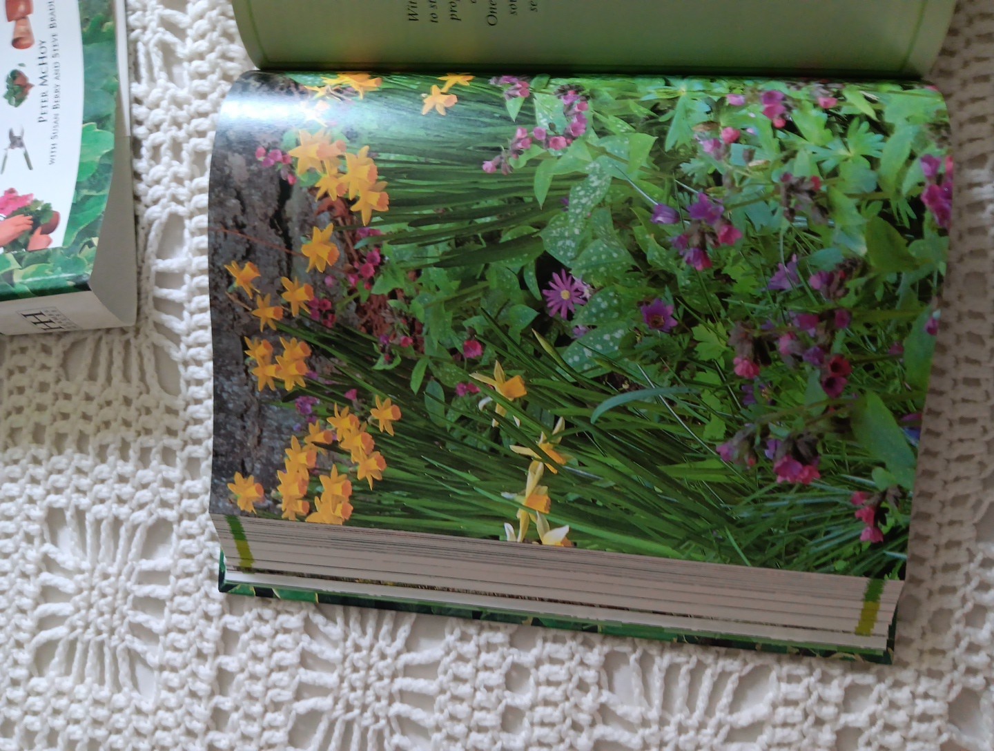 THE COMPLETE BOOK OF PRACTICAL GARDENING Peter McHoy 2001 512 Pages 12×9″ HC DJ
