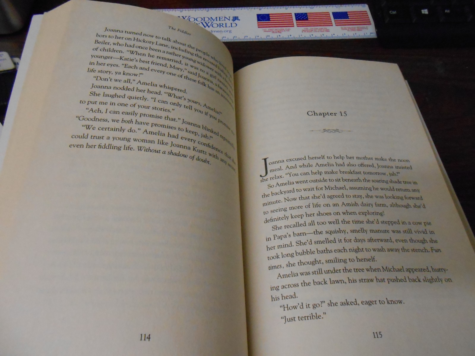 THE FIDDLER -BEVERLY LEWIS – 336 PAGES – PAPERBACK – PRE-OWNED – GOOD