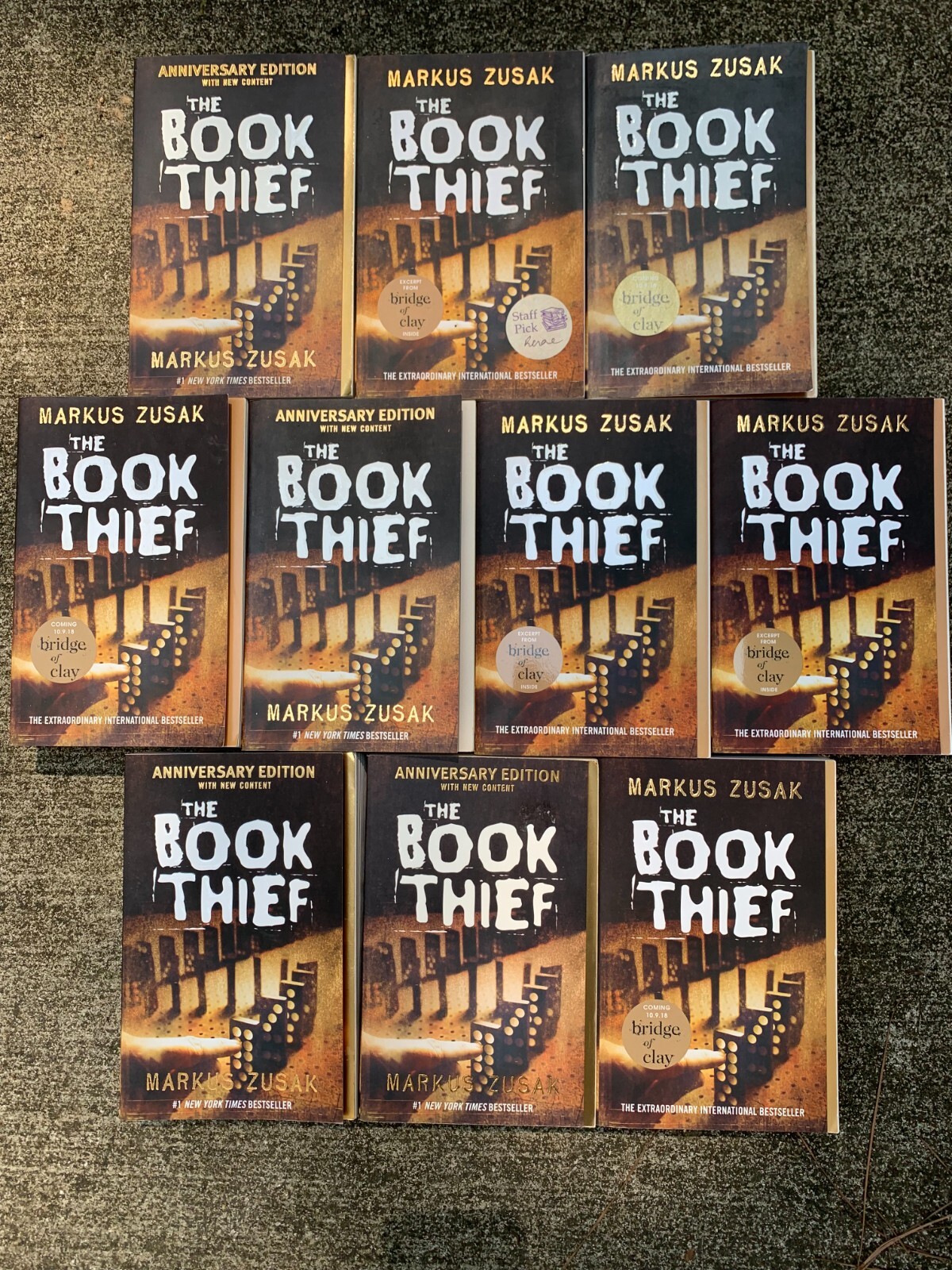 THE BOOK THIEF class set Markus Zusak ~ GUIDED READING lot 10
