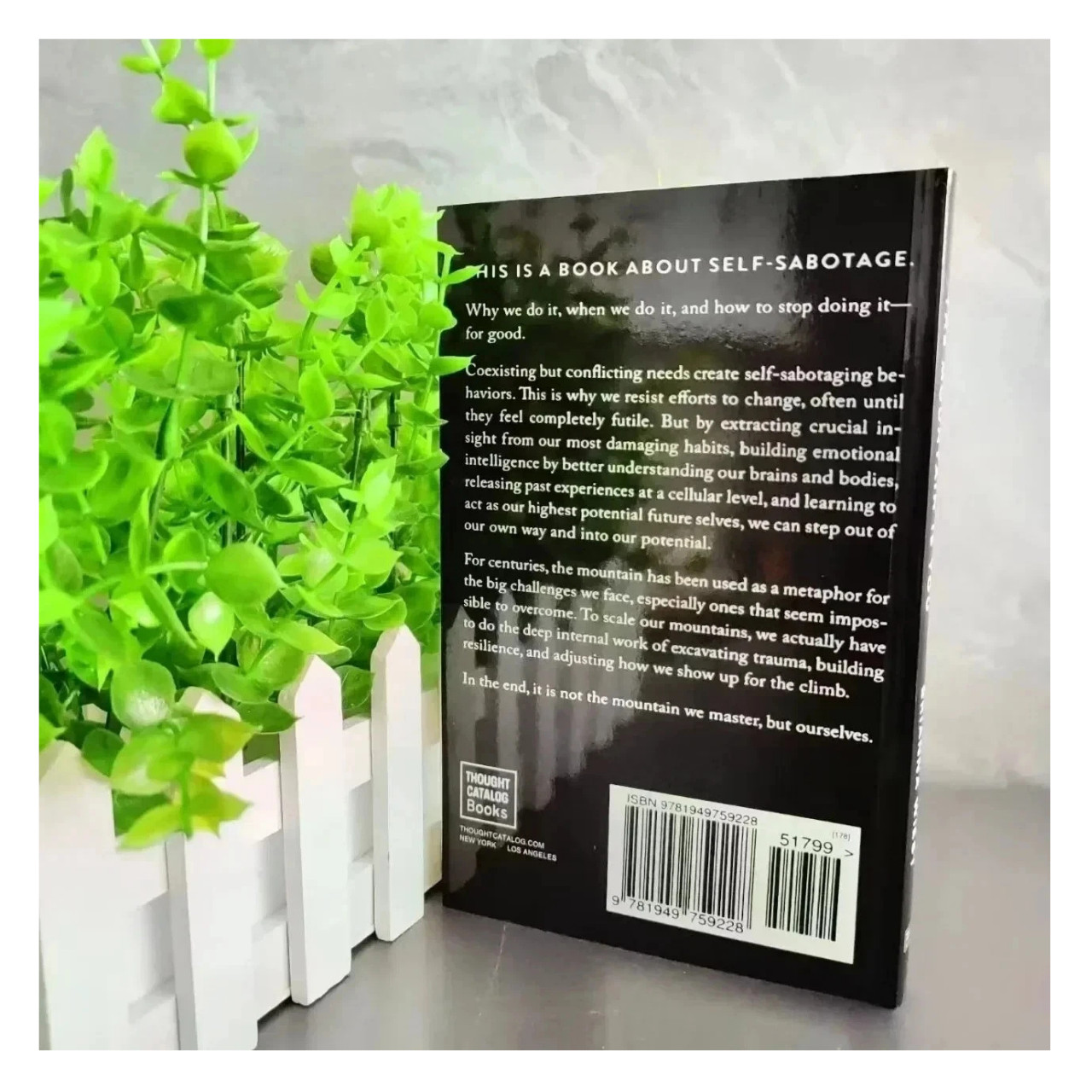 The Mountain Is You by Brianna Wiest – Paperback Book with Free Shipping