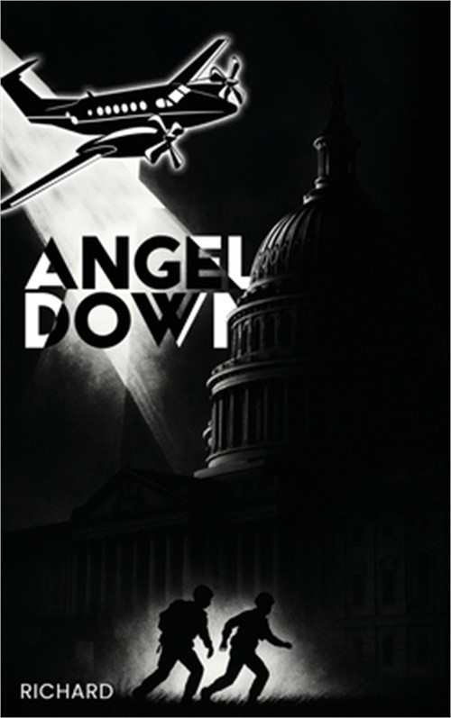 Angel Down (Hardback or Cased Book)