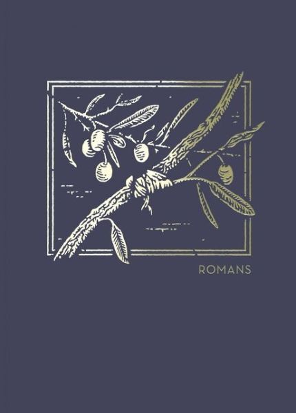 Net Abide Bible Journal – Romans, Paperback, Comfort Print: Holy Bible