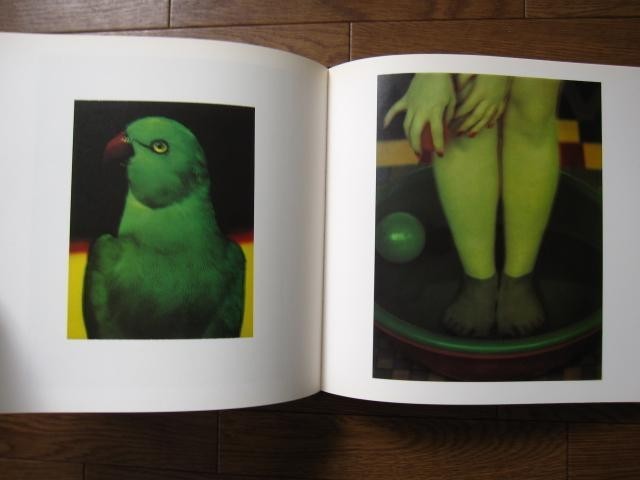 Sarah Moon Photobook Zufallige Begegnungen 287pp 11.4 x 11.8 in Japan used