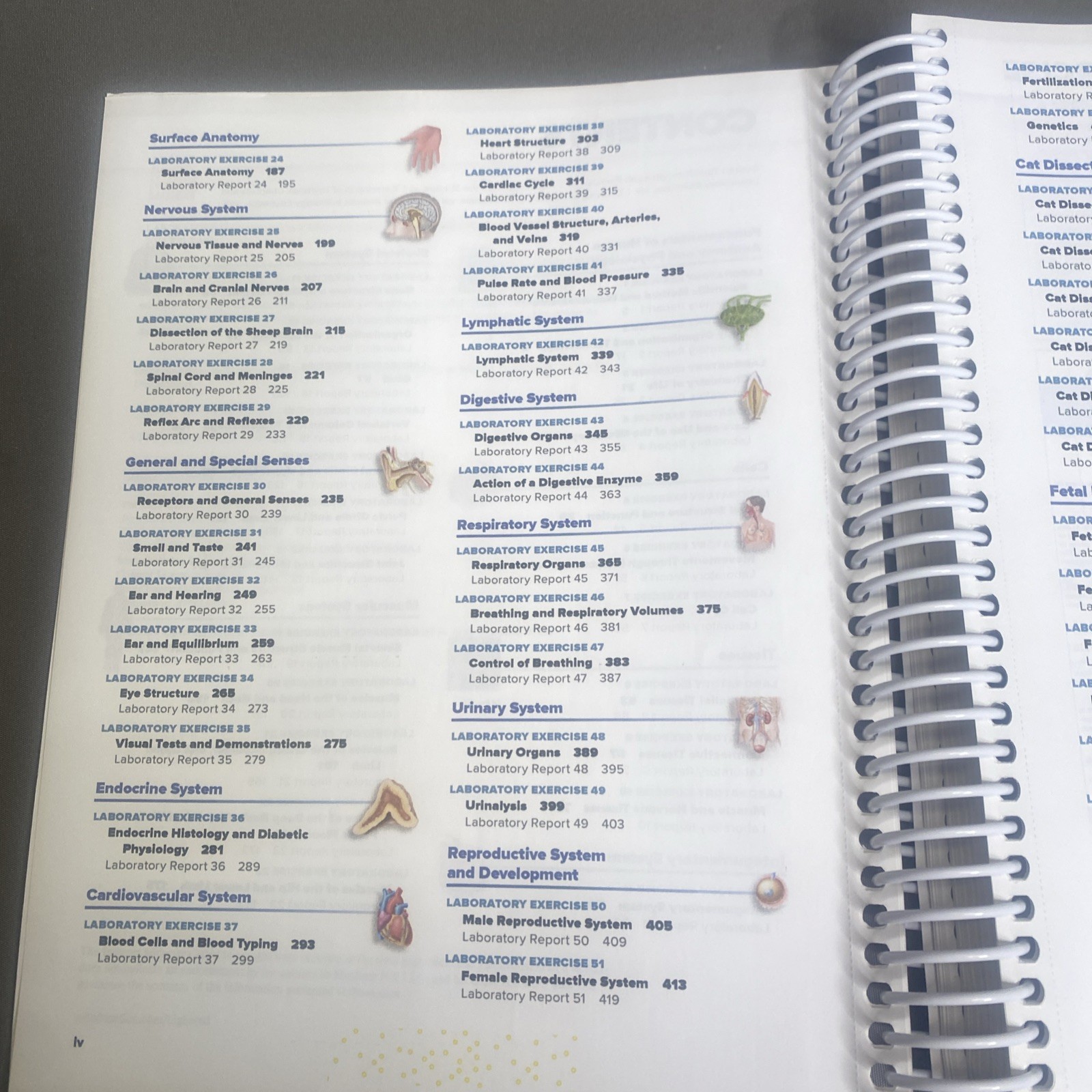 HOLE’S HUMAN ANATOMY+PHYS.-LAB.MANUAL (2024 Edition)