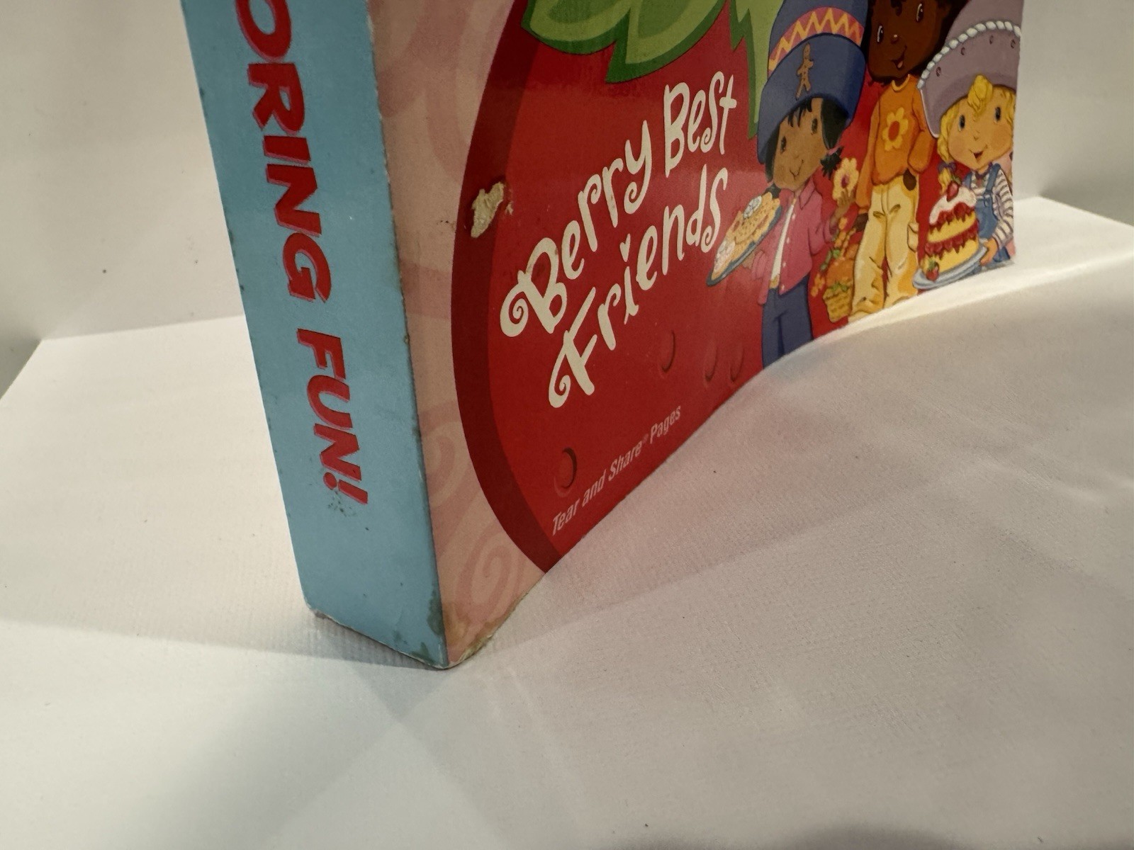 2003 Strawberry Shortcake Berry Best Friends 400 Pages of Coloring Fun *READ*