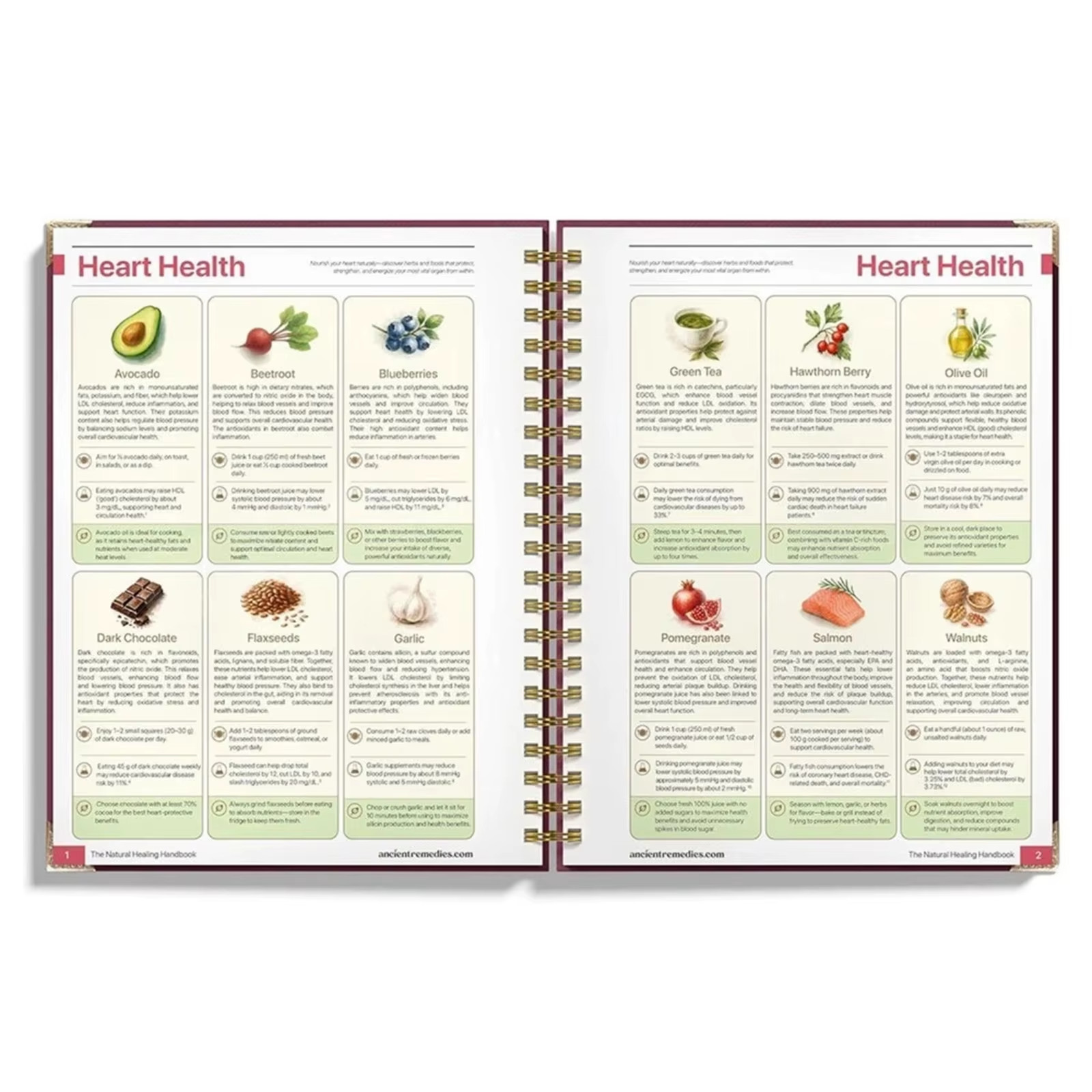 The Natural Healing Handbook – Spiral Bound | Herbal Remedies & Wellness Recipes
