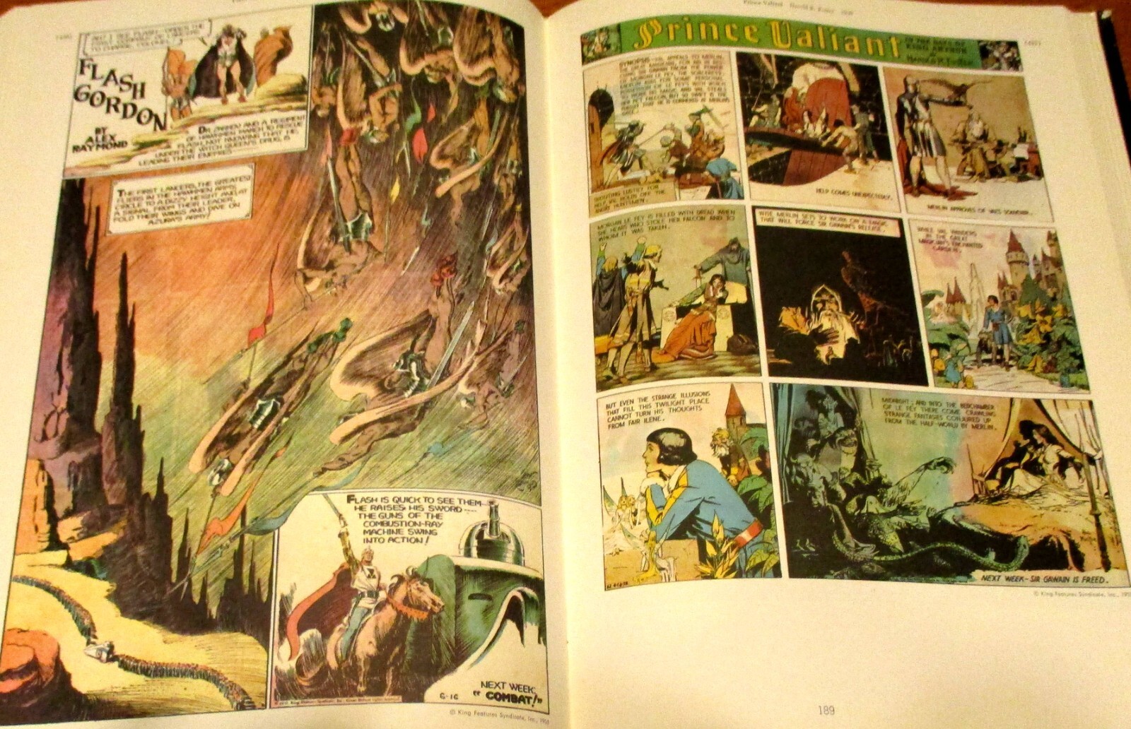 1977 The Smithsonian Collection of Newspaper Comics Hardcover Book 336 Pages
