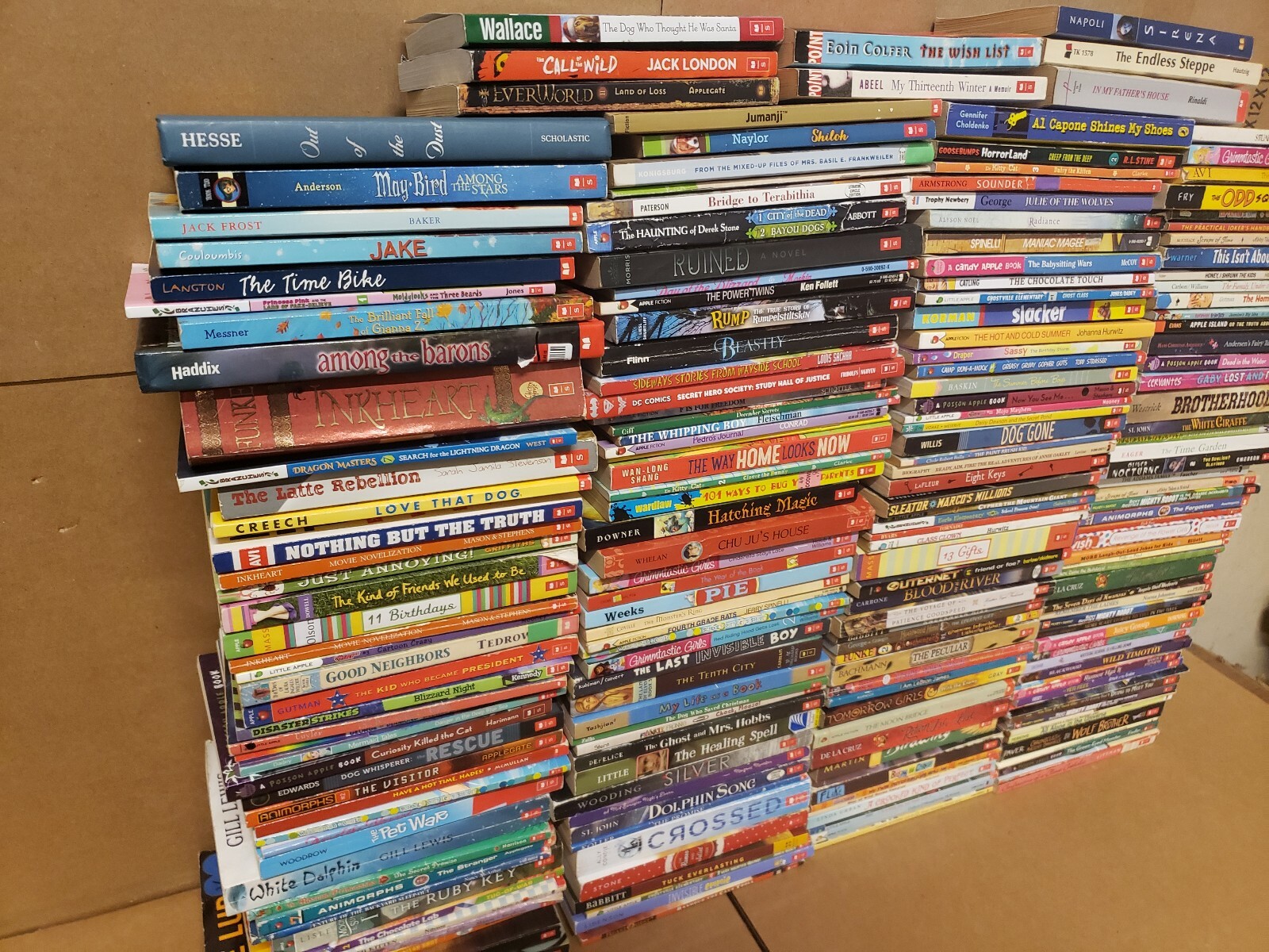 Lot of 50 Chapter INSTANT LIBRARY Children Young Adult RANDOM UNSORTED BOOKS MIX