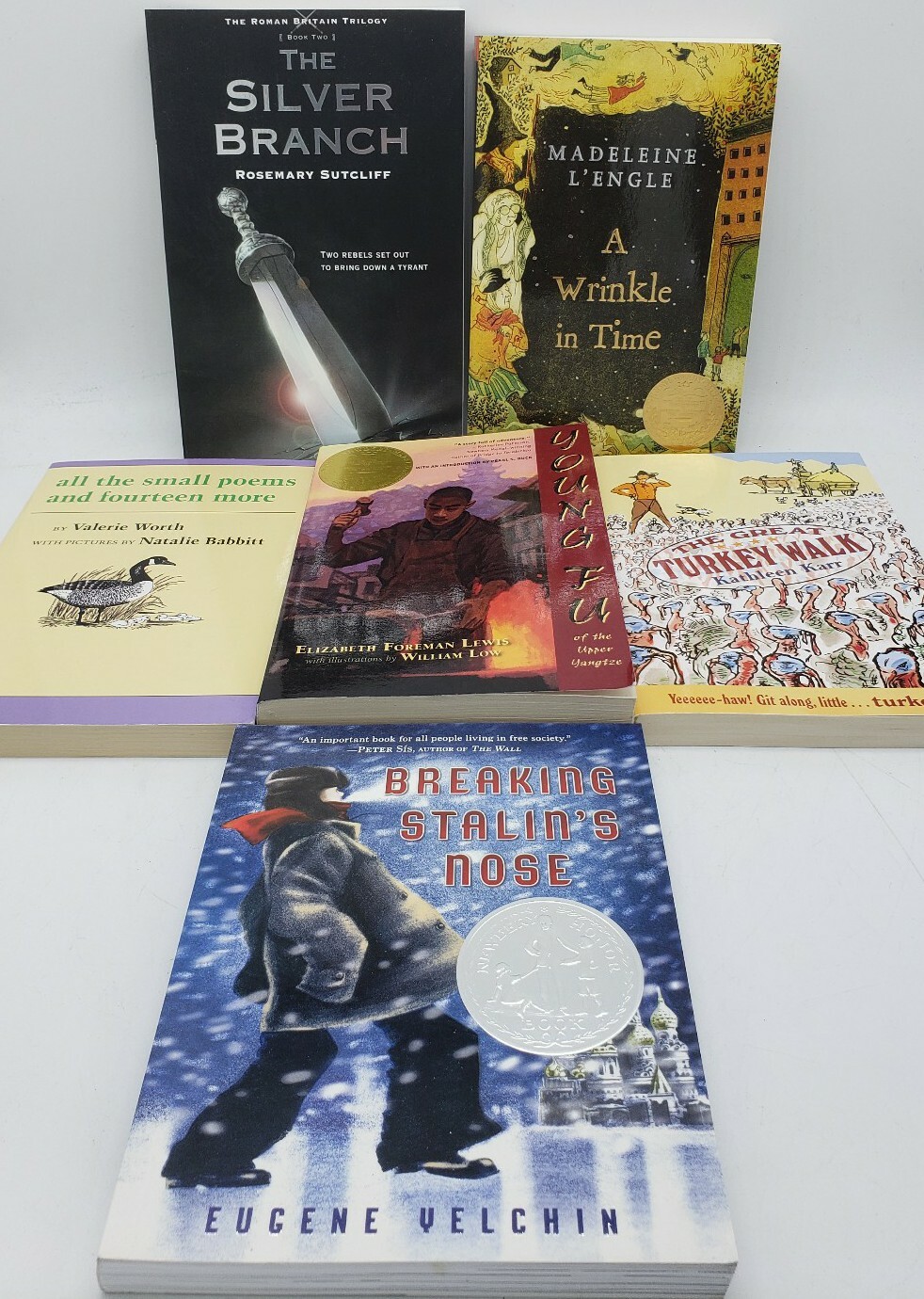 Lot of 6 Square Fish Paperback Books: Wrinkle in Time The Silver Branch Young Fu