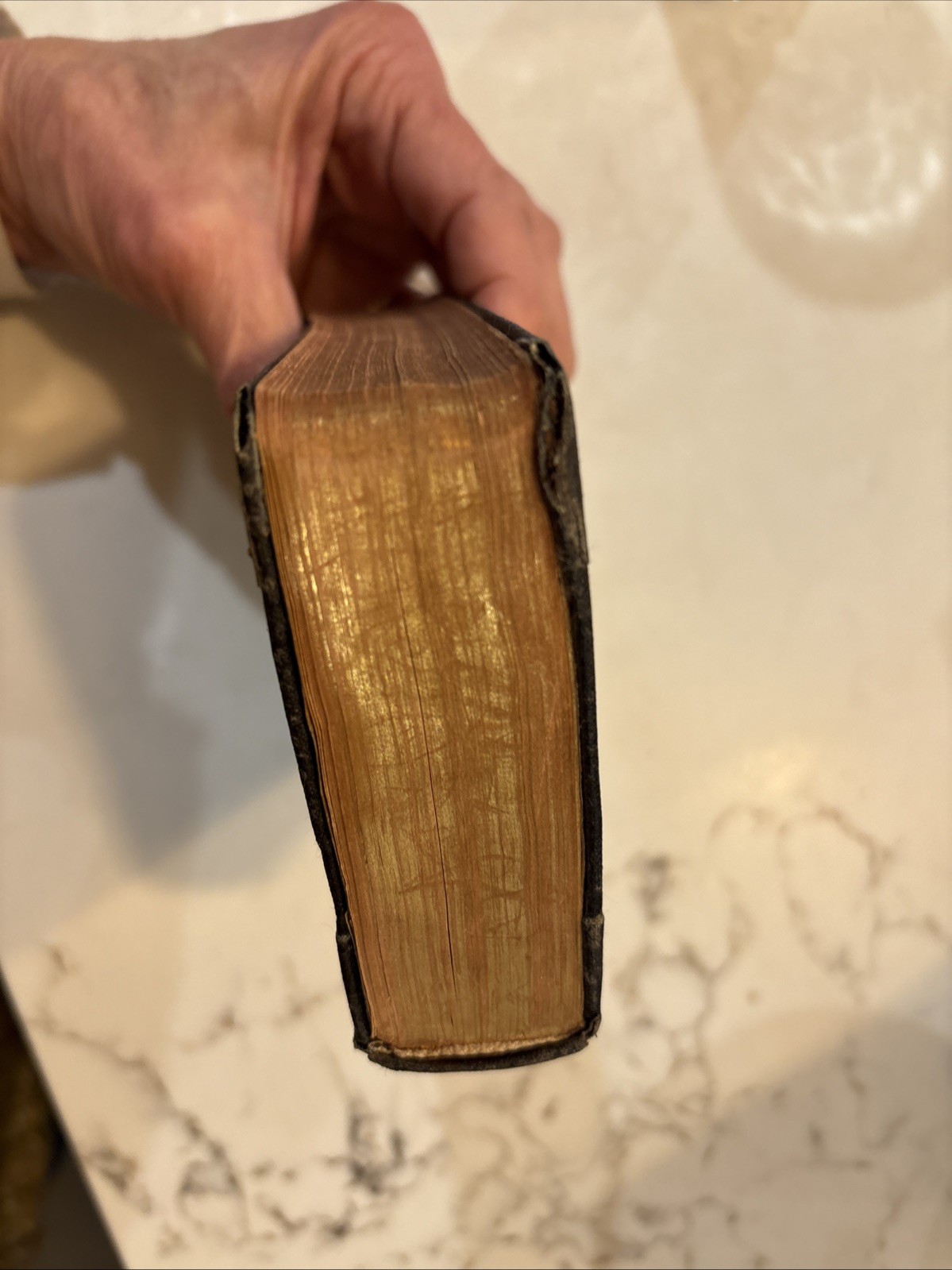Antique Holy Bible Appointed to be read in Churches 1910 Cambridge London