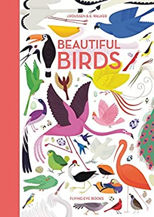 Beautiful Birds Picture Book Jean Roussen