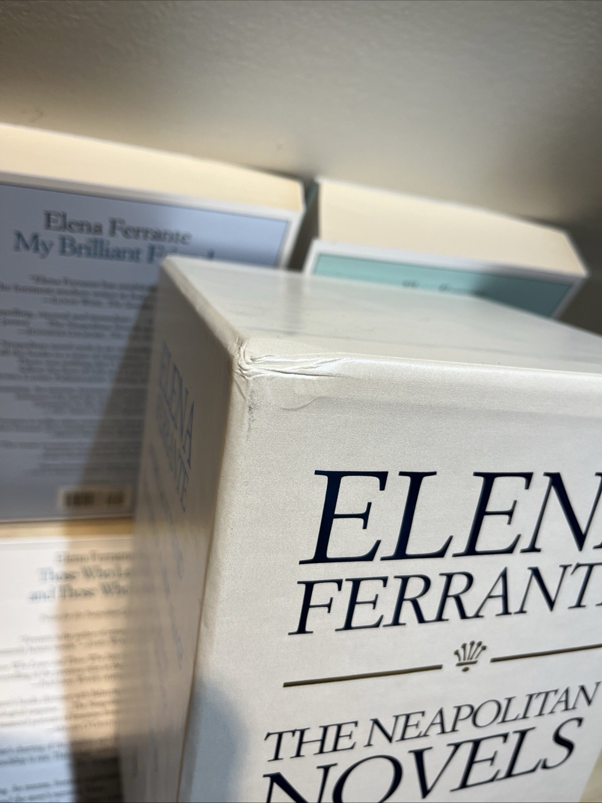 The Neapolitan Novels box set by Elena Ferrante(Europa Editions,trade paperback)