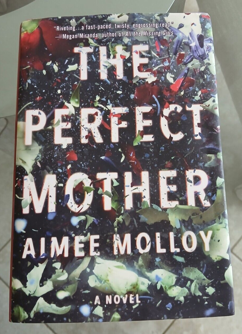 The Perfect Mother By Aimee Molloy Hardcover 317 Pages