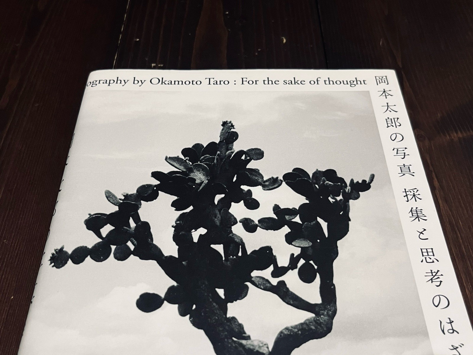 TARO OKAMOTO FOR THE SAKE OF THOUGHT PHOTO EXHIBITION CATALOG BOOK 2018 JAPAN