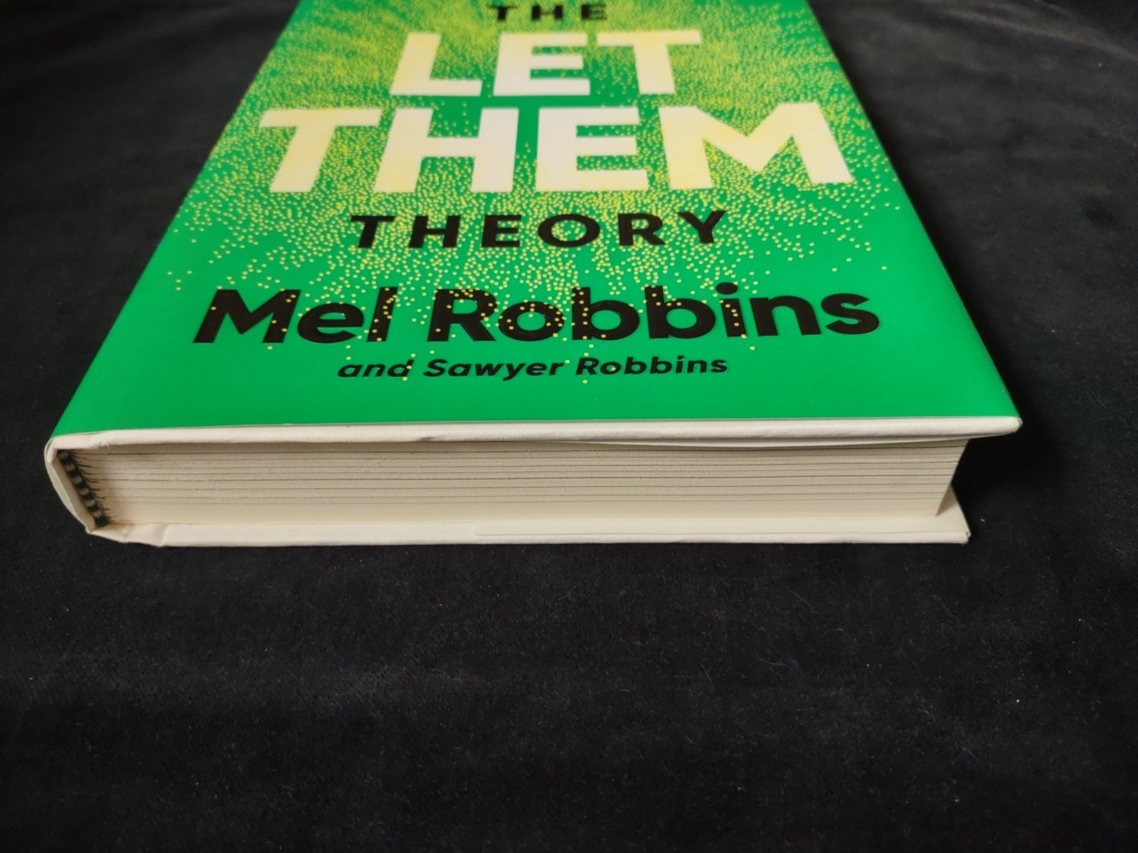 THE LET THEM THEORY Mel Robbins 1st Edition Hardcover Book Self Help Feel Great