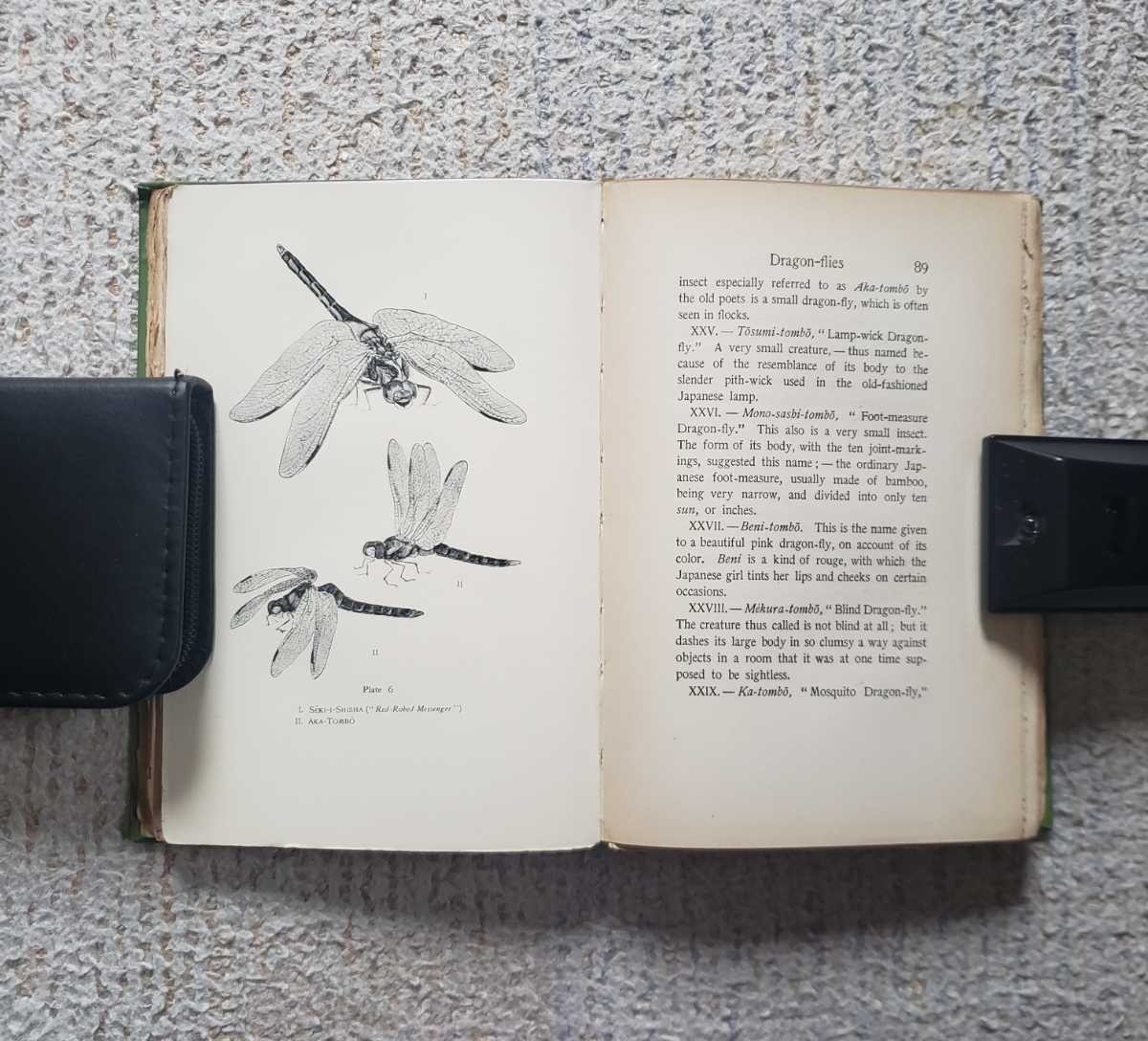 1901 First edition by Koizumi Yakumo Lafcadio Hearn 5.1in x 7.5in 305 pages