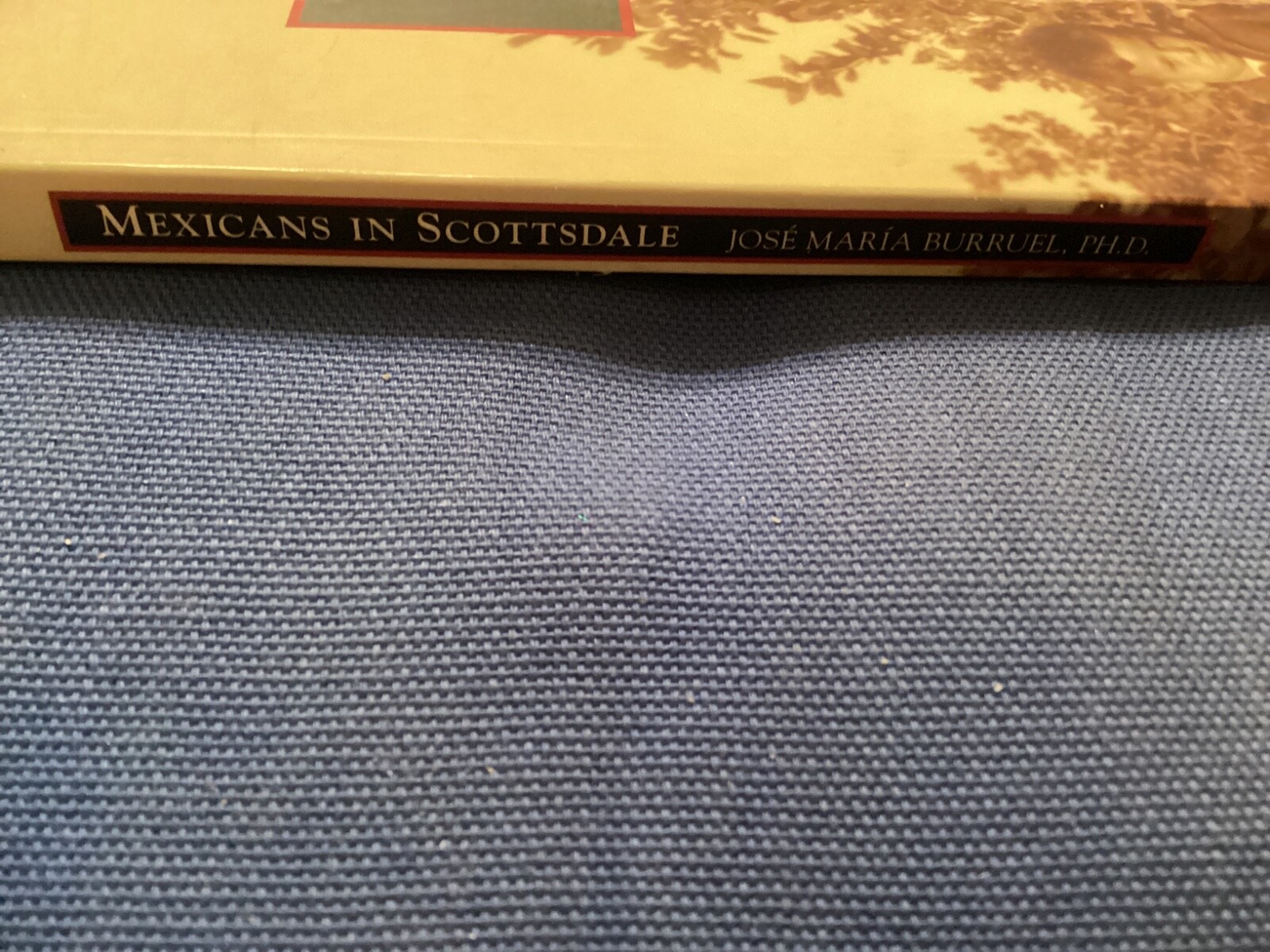 MEXICANS IN SCOTTSDALE, 2007 IMAGES OF AMERICA PAPERBACK, 128 PAGES/FREE POSTAGE