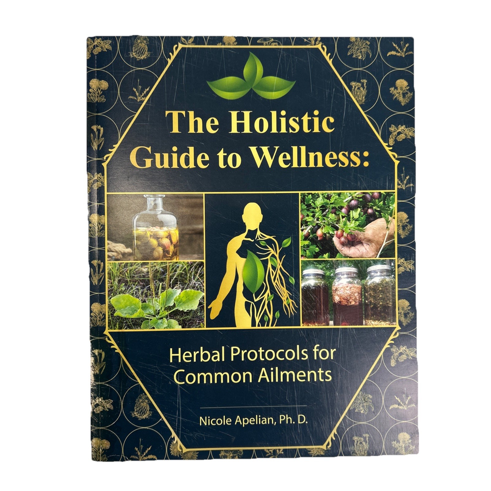 The Holistic Guide to Wellness: Herbal Protocols for Common Ailments. N. Apelian