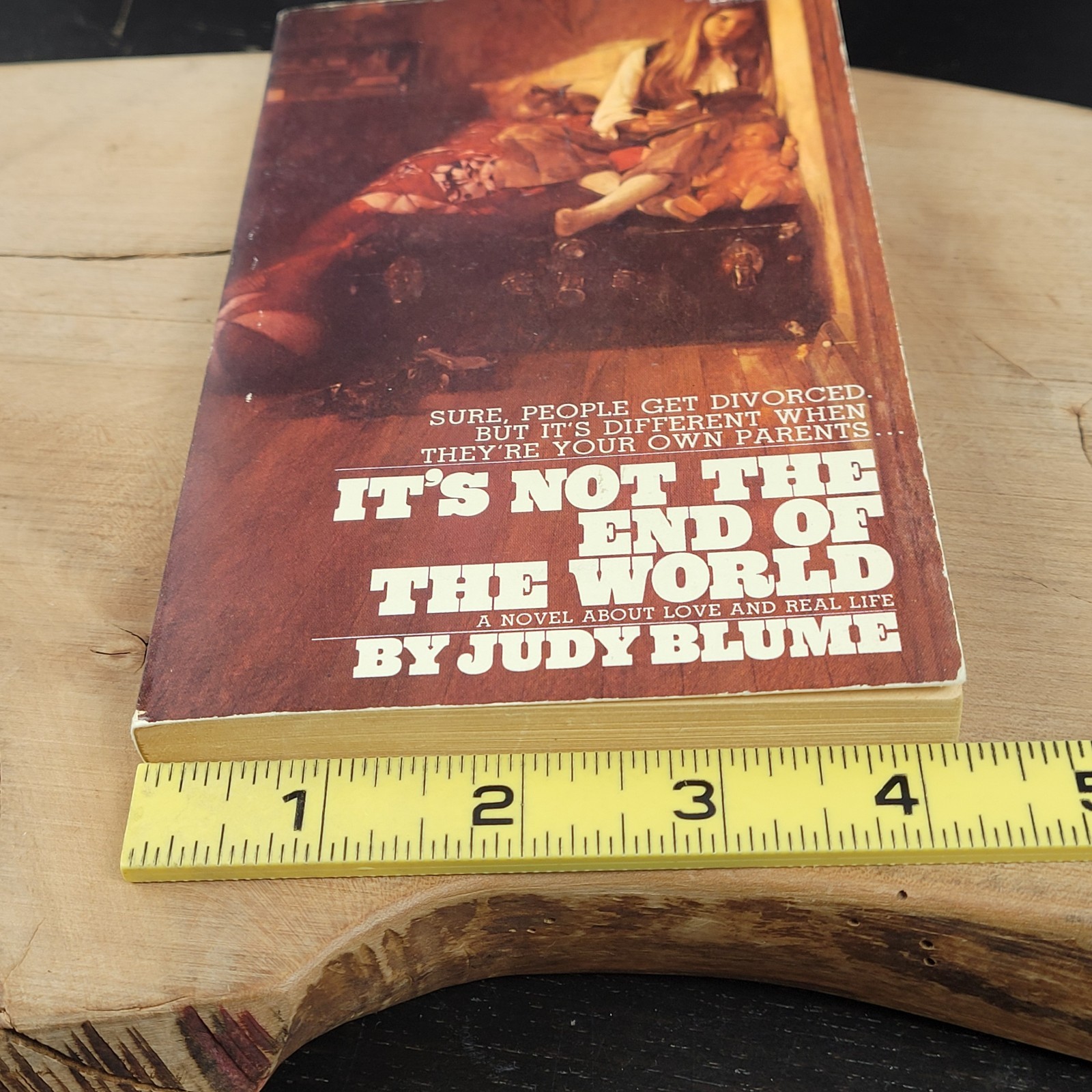 Judy Blume It’s Not The End Of The World PB Book Pathfinder Novel Vtg 1973 BCE