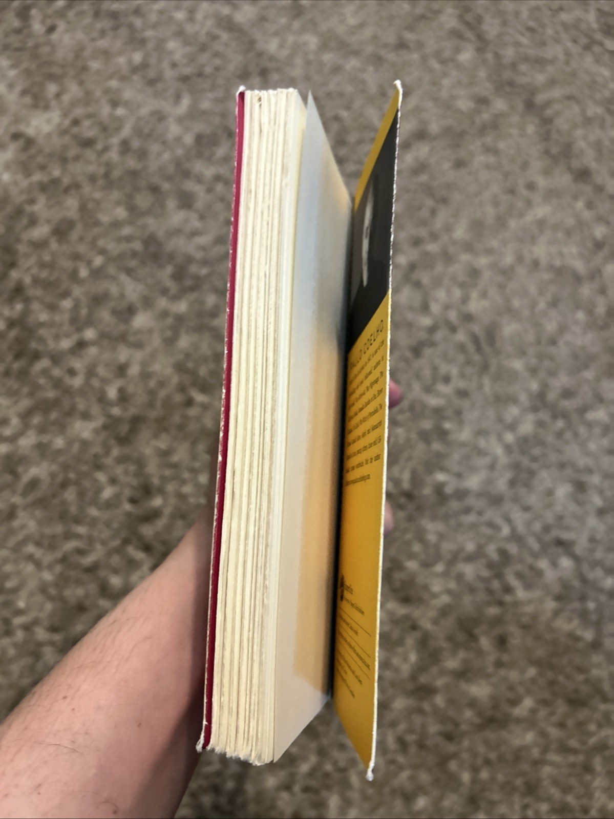 Alchemist by Paulo Coelho (2014, Trade Paperback)