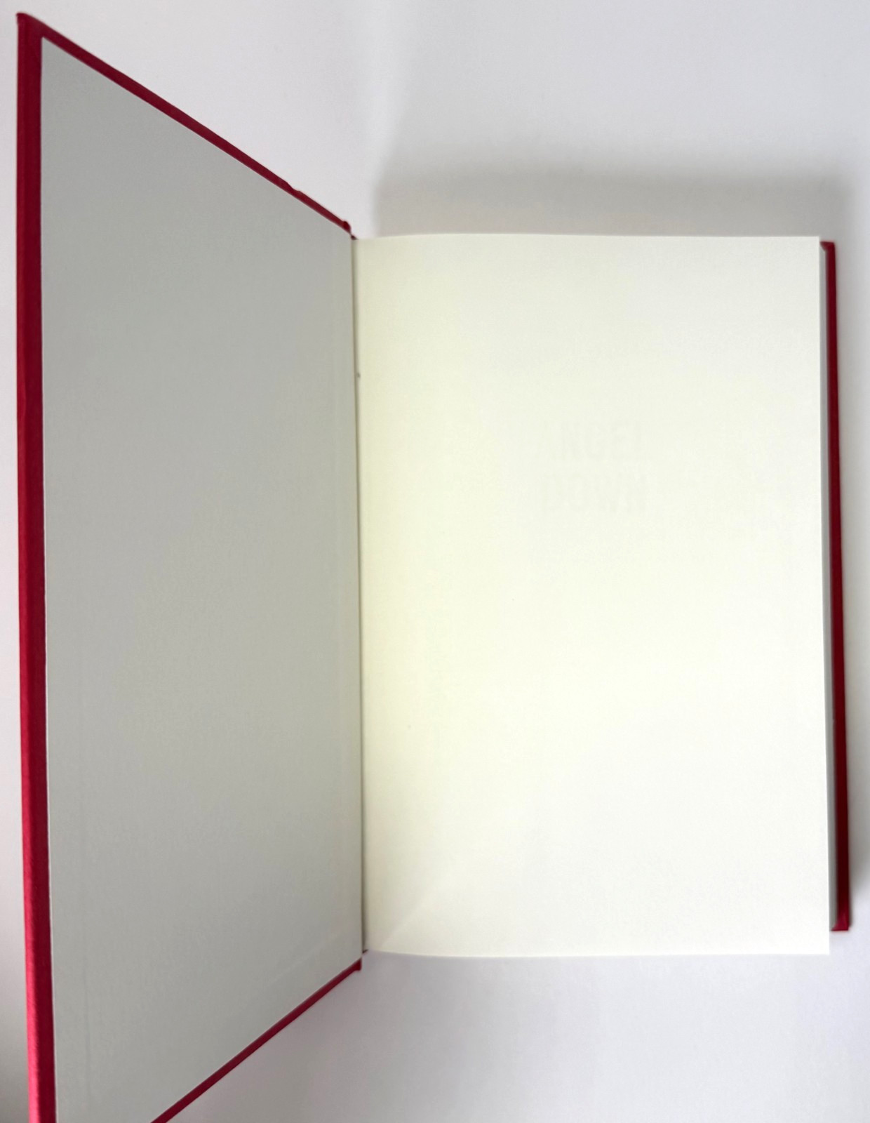 Angel Down (Pulitzer) Daniel Kraus 2025 1st edition 1st printing in Mylar, New