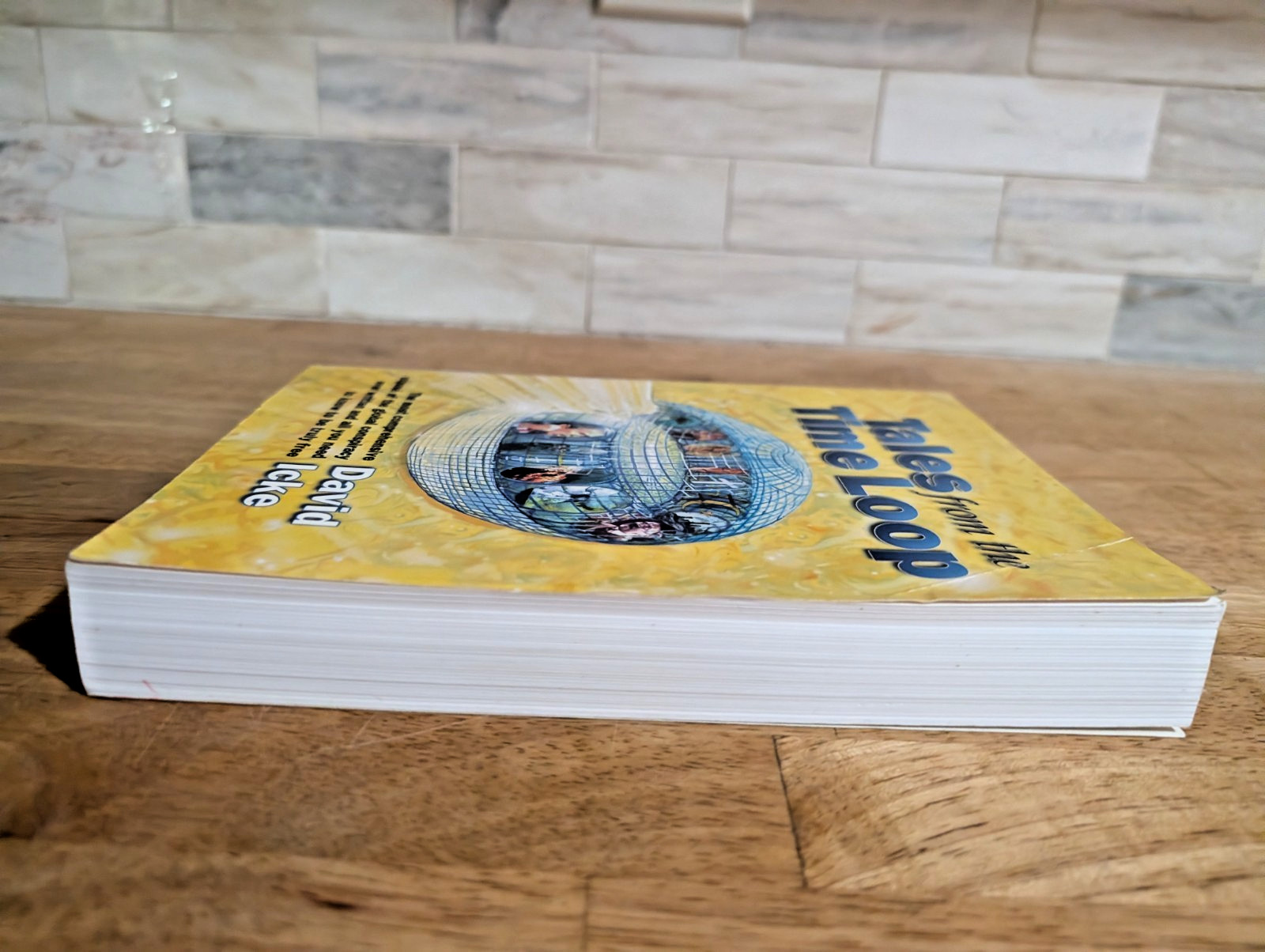 Tales from the Time Loop by David Icke Big Brother Global Conspiracy Book