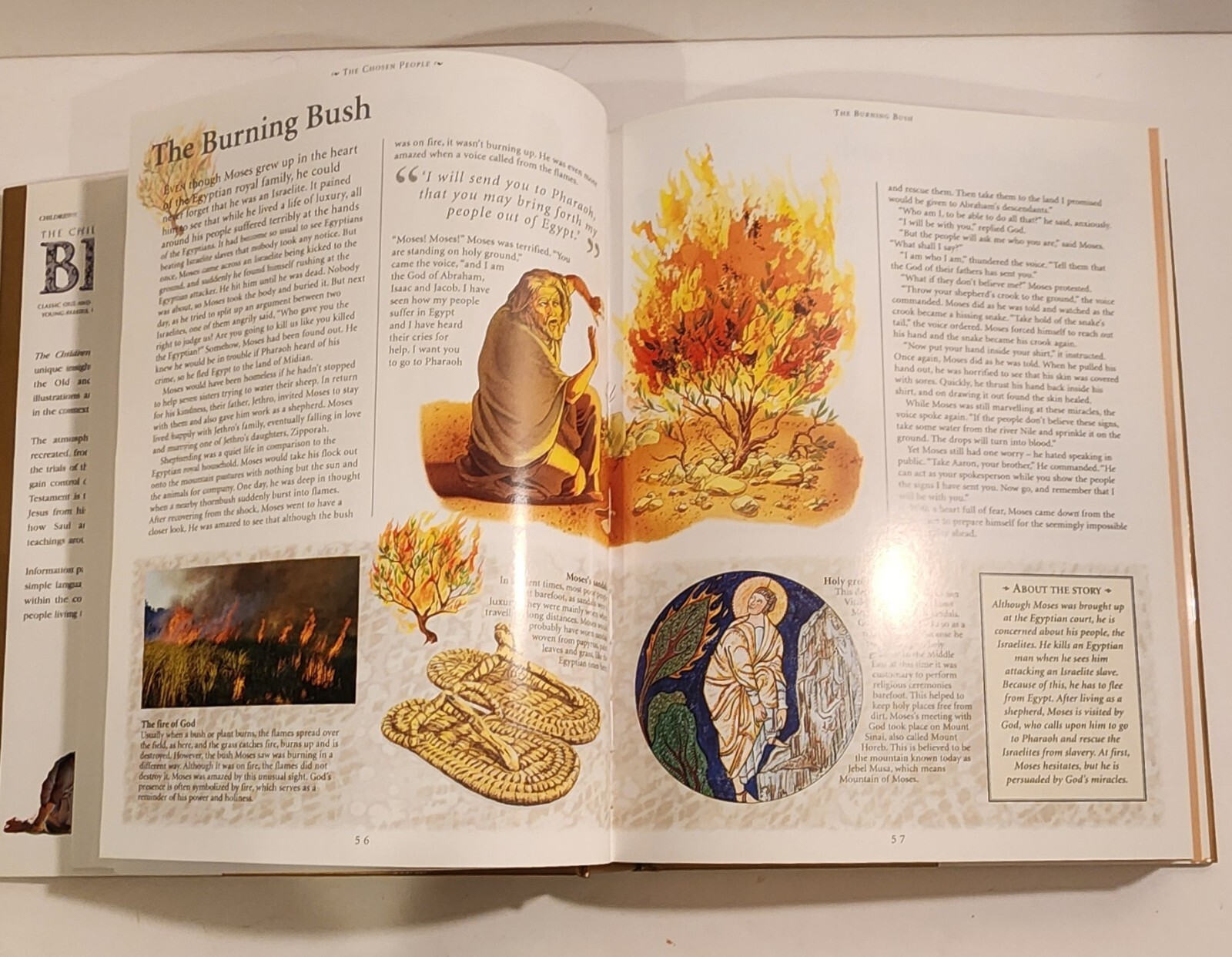 The Children’s Illustrated Bible Victoria Parker 512 Pages