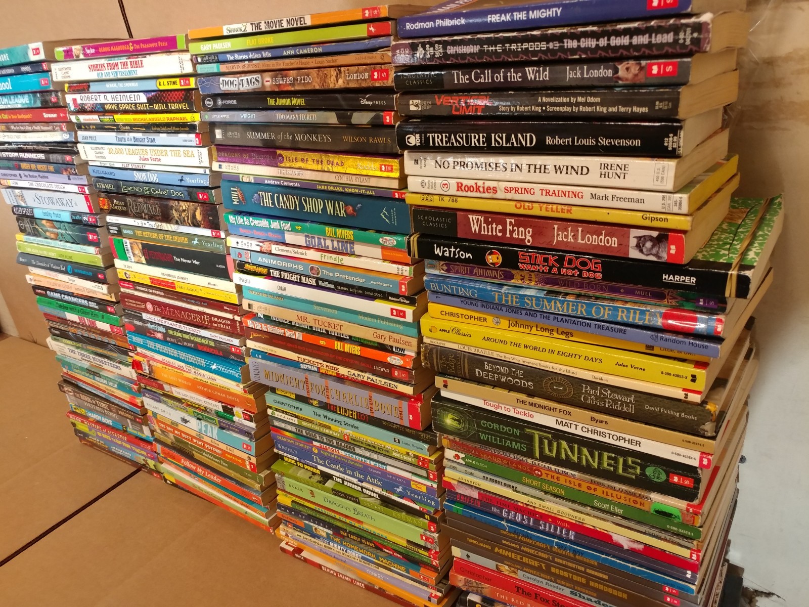 Lot of 20 Chapter Books for BOYS Youth Early Reader Young Adults Children RANDOM