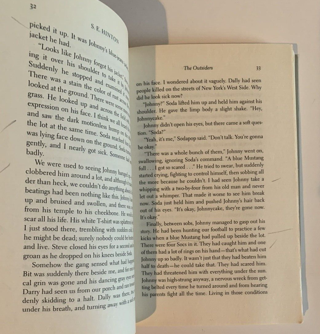 The Outsiders Book Lot Alchemist The Stranger Cliff Notes