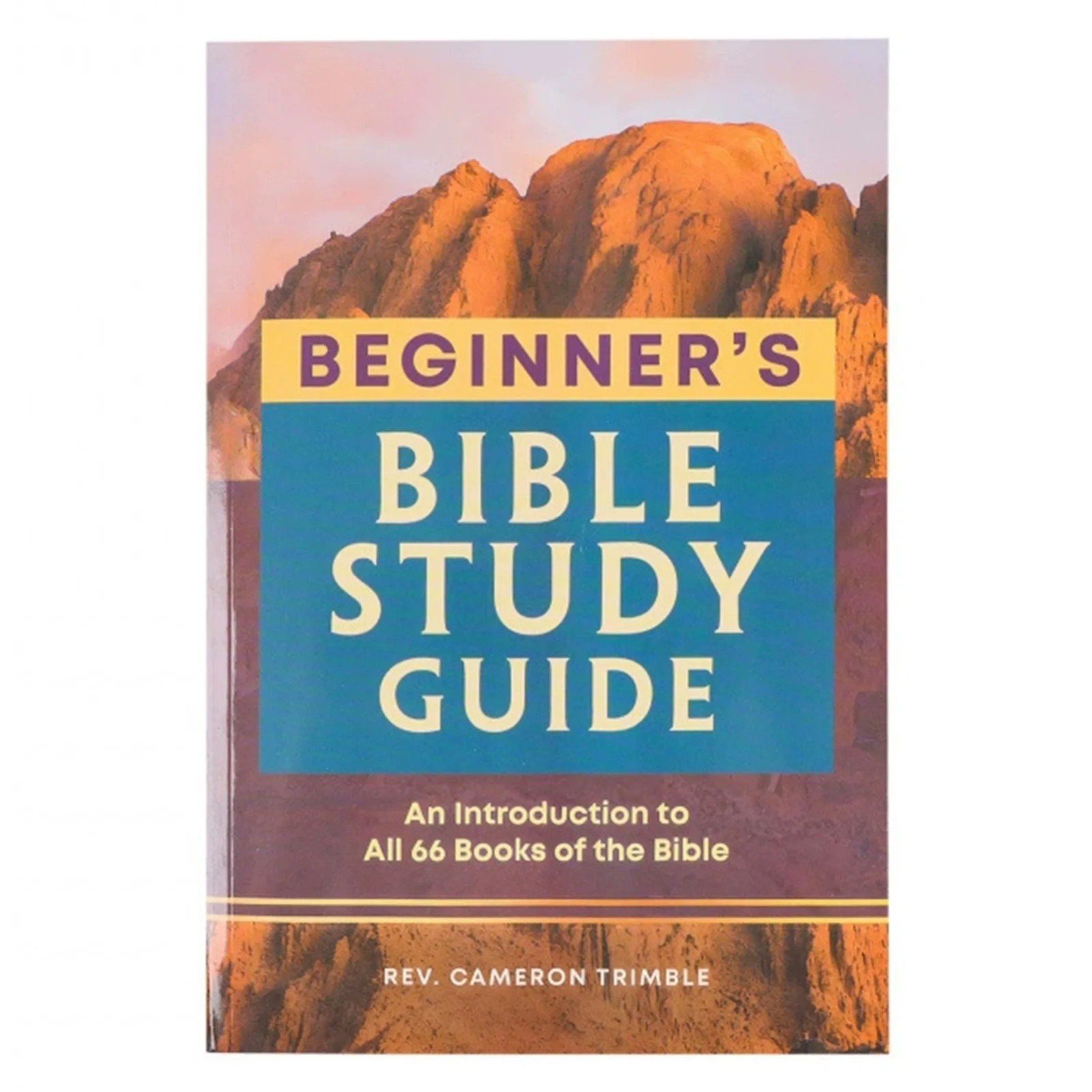 The Beginner’s Bible Study Guide: An Introduction to All 66 Books of the Bible