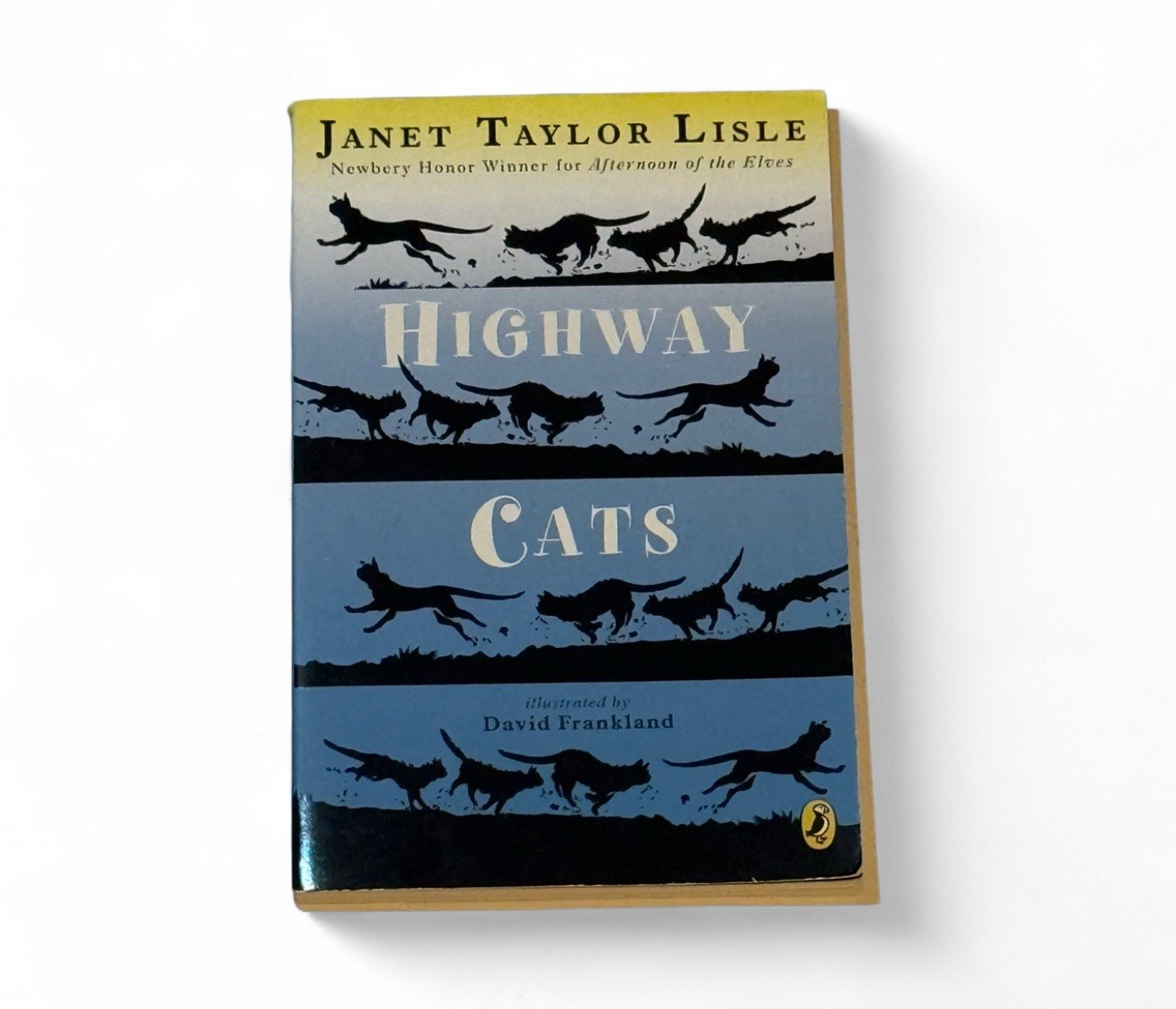 Highway Cats Hardcover Janet Taylor Lisle Kittens Fantasy Animals Fast Free Ship