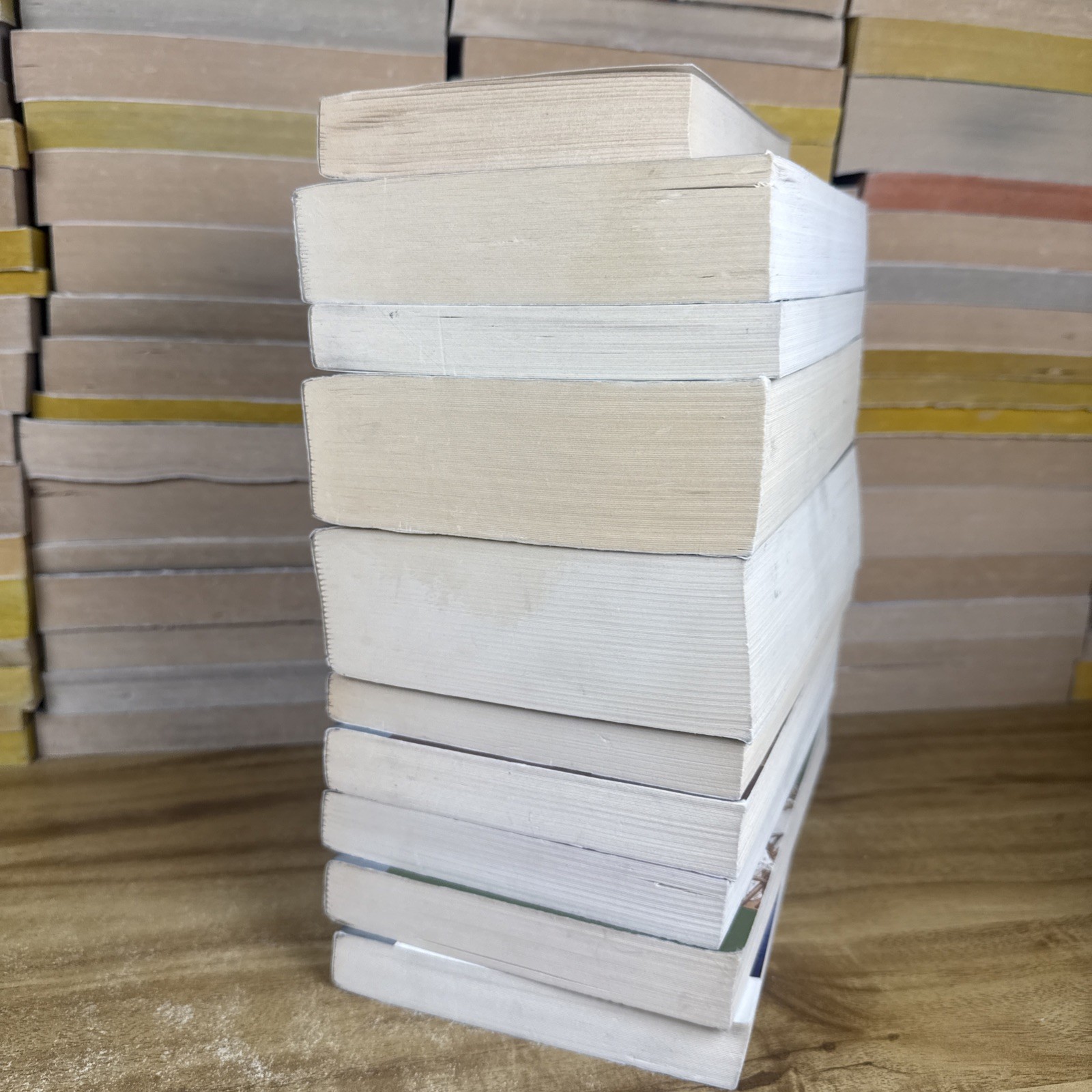 Lot of 10 BARNES & NOBLE CLASSICS Paperbacks 1 Smaller Tolstoy Sun Tzu Hardy