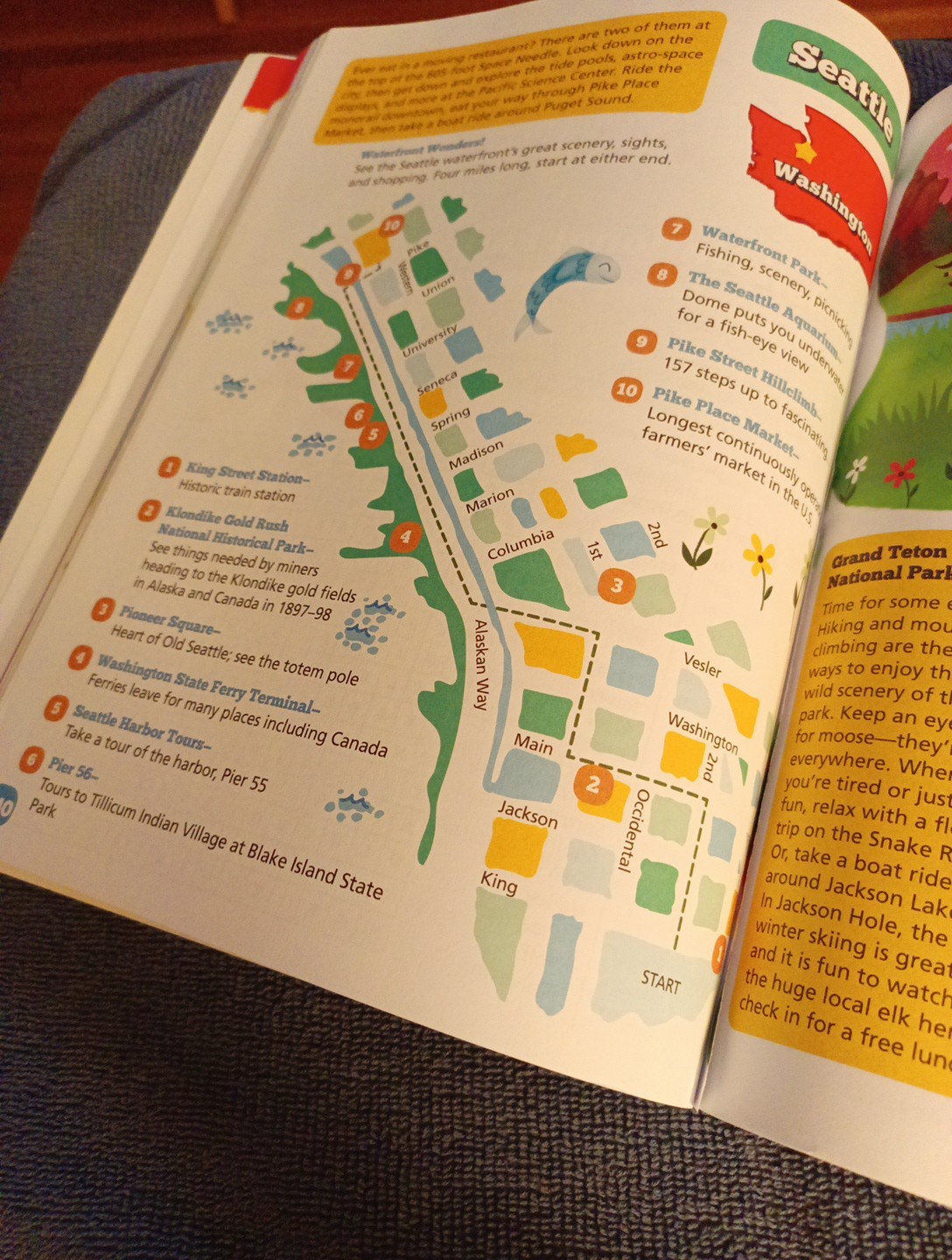 THE ULTIMATE BACKSEAT BOOK Hours of fun for kids on the road! 200+ Pages Travel