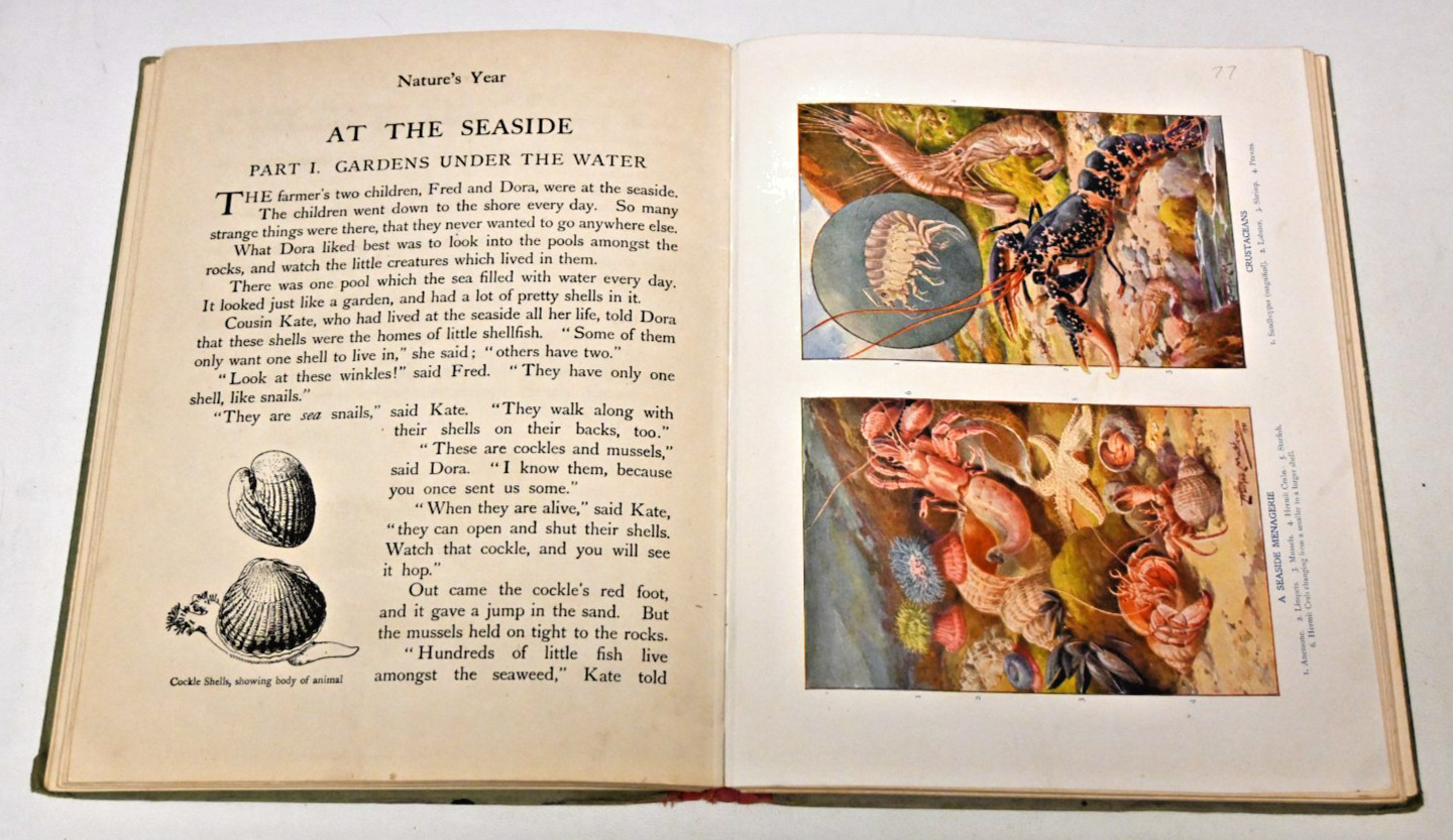 The Children’s Year Blackie & Son Limited 1922 Illustrated Hard Cover