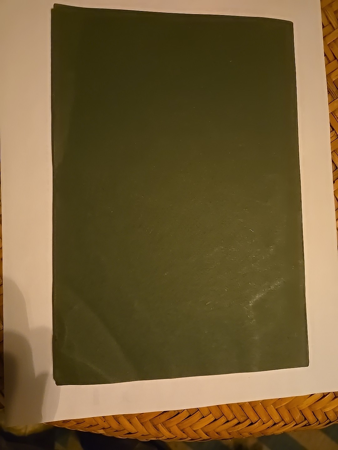 Einsteins Theory of Gravitation by Freundlich 1922 rare early General Relativity