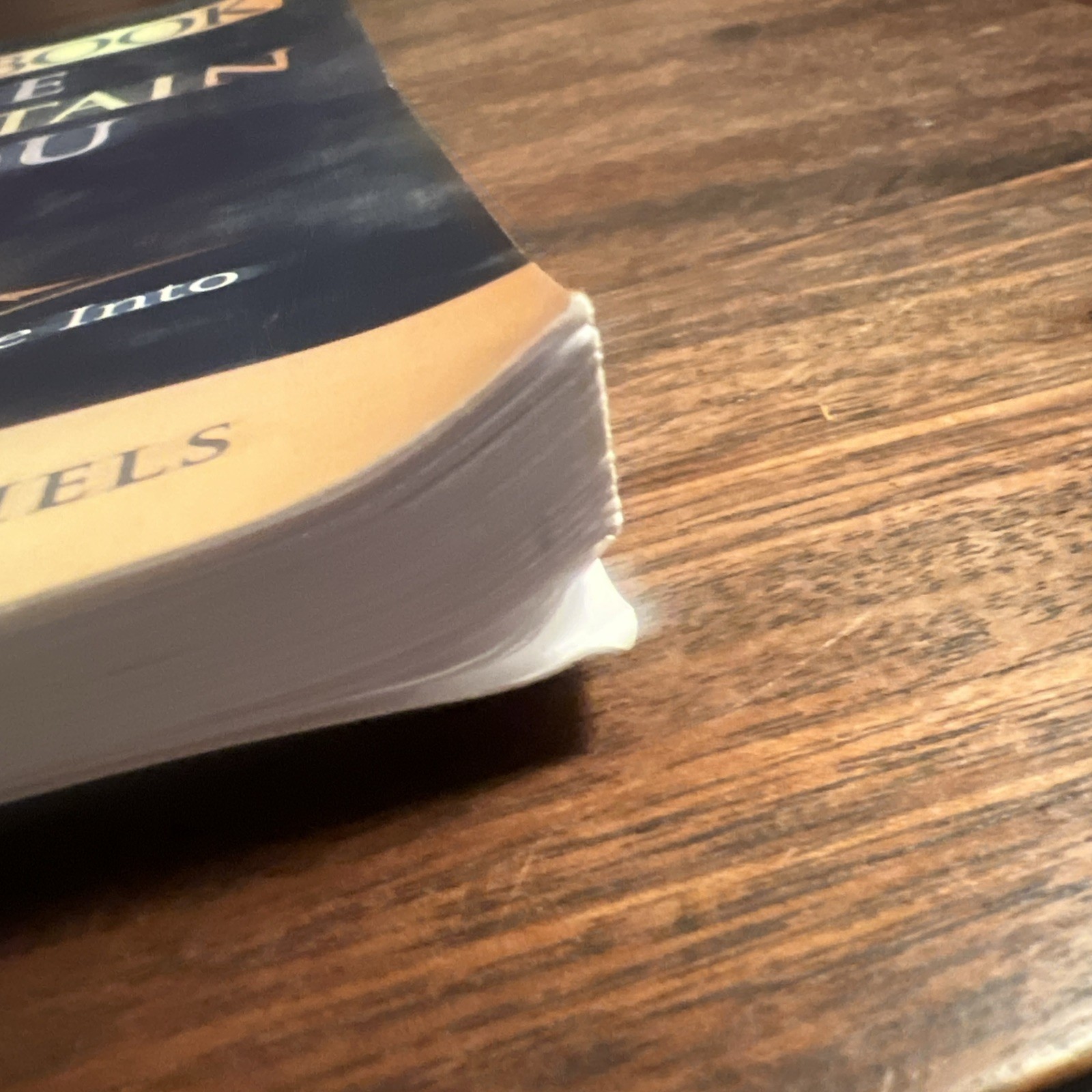 Workbook: The Mountain Is You by Brianna Wiest: Transforming Self Sabotag – GOOD