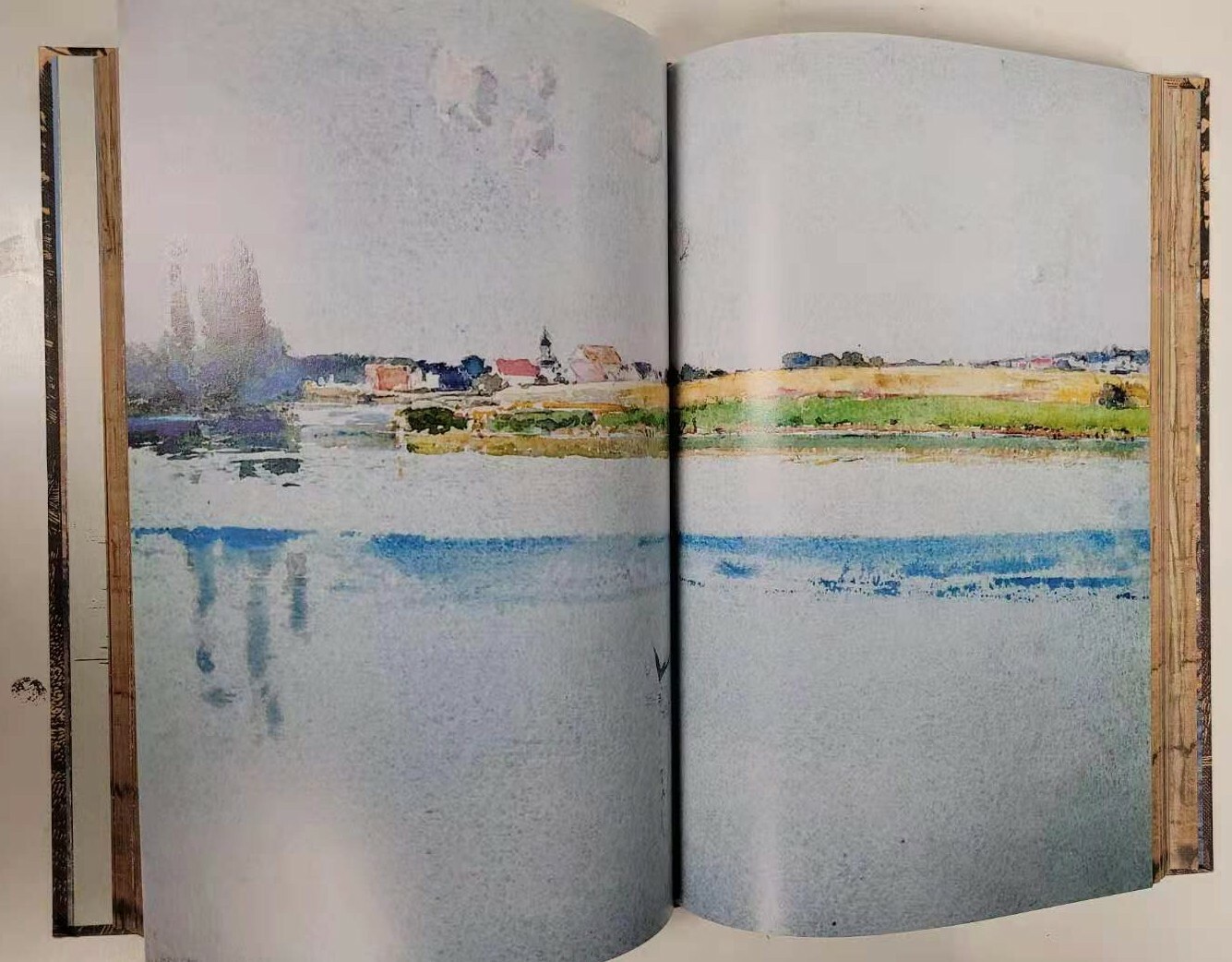 THE ILLUSTRATED WALDEN or Life in the Woods Henry David Thoreau Illustrated NEW