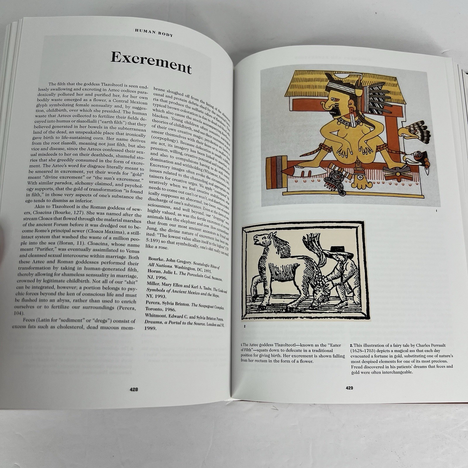 The Book of Symbols Reflections on Archetypal Images Ami Ronnberg Taschen HC