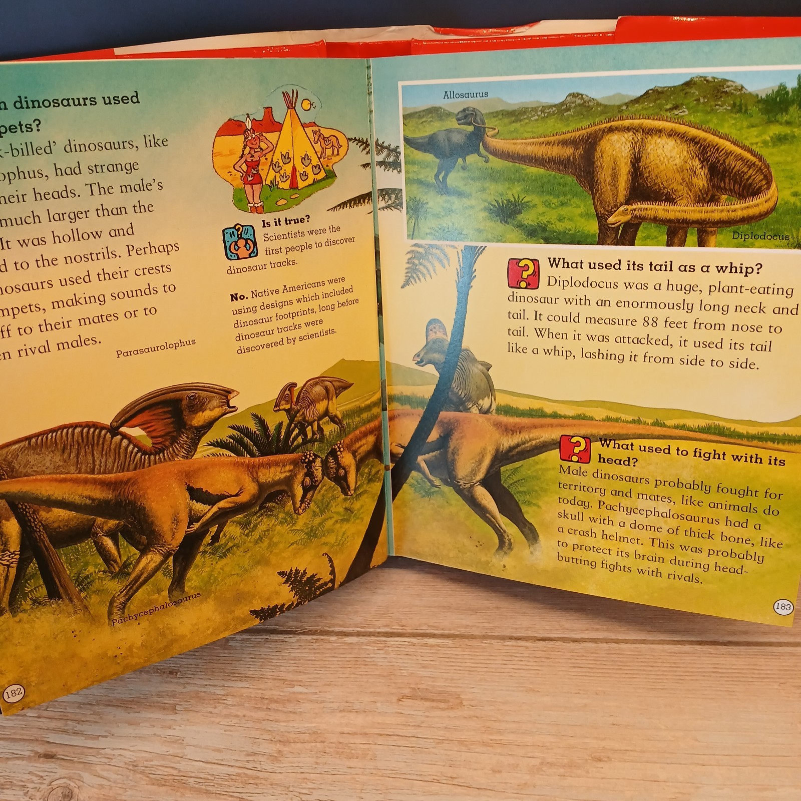 Amazing Questions & Answers Book, 512 Colorful Pages of Amazing Facts, 2004 EUC