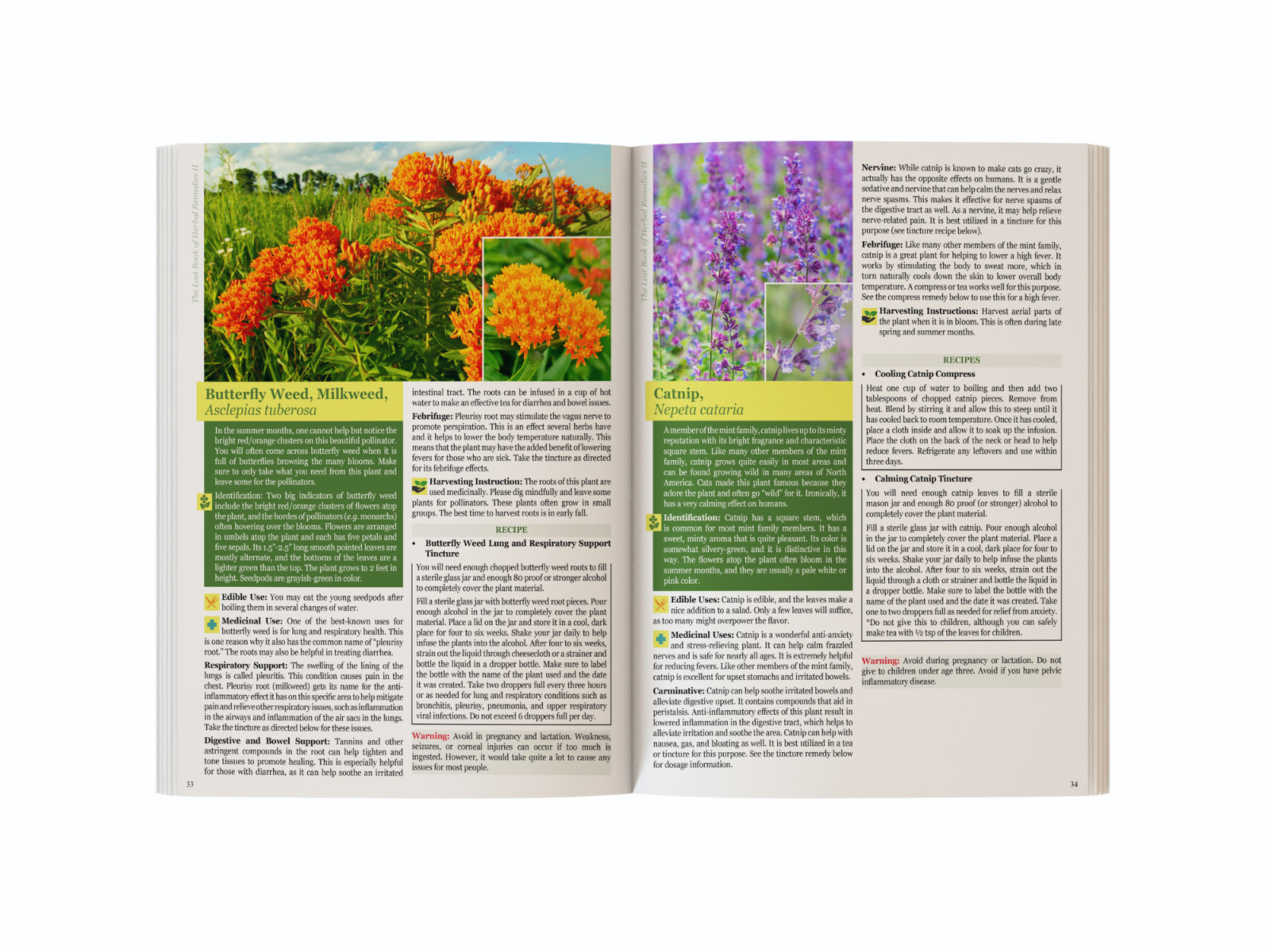 The Lost Book of Herbal Remedies II (paperback with color pictures)