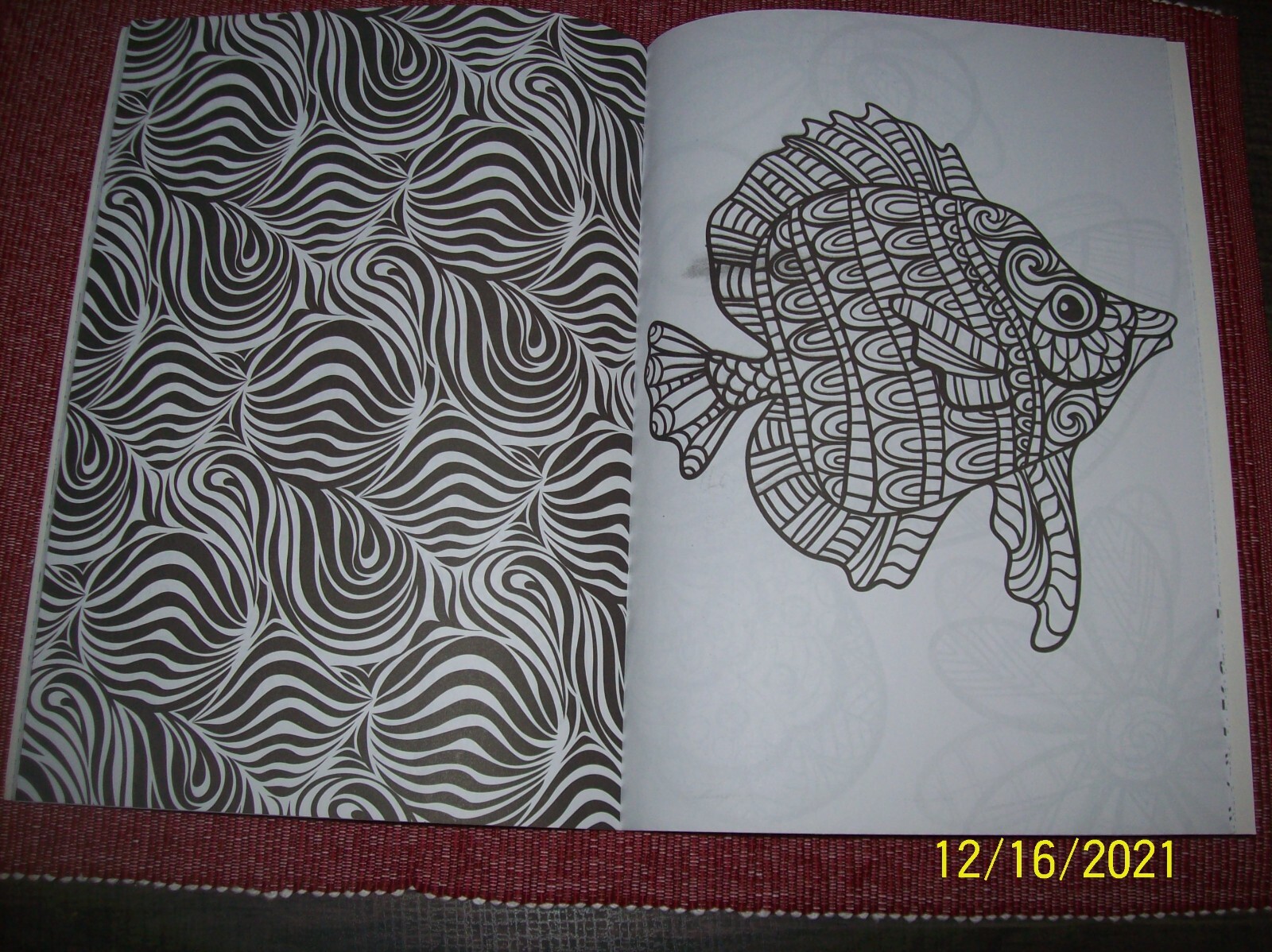 Unbranded Animals Come Alive Adult Coloring Book – New