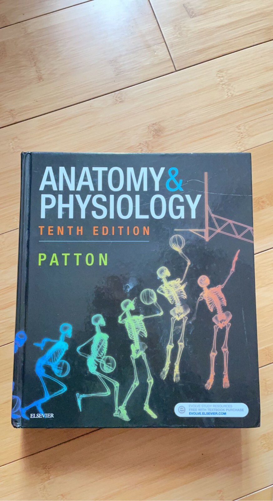 brand new college textbooks