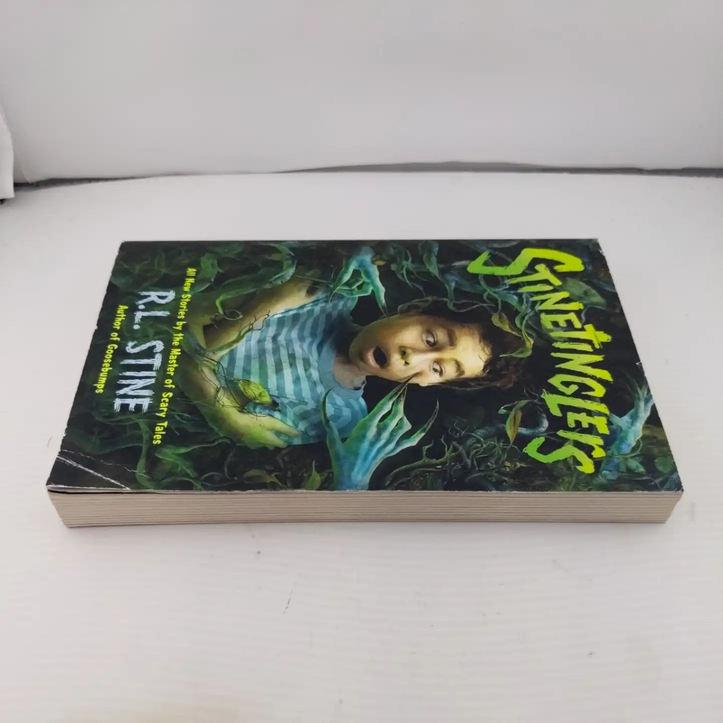 R L Stine Stinetinglers Book Collection Scary Short Stories Square Fish