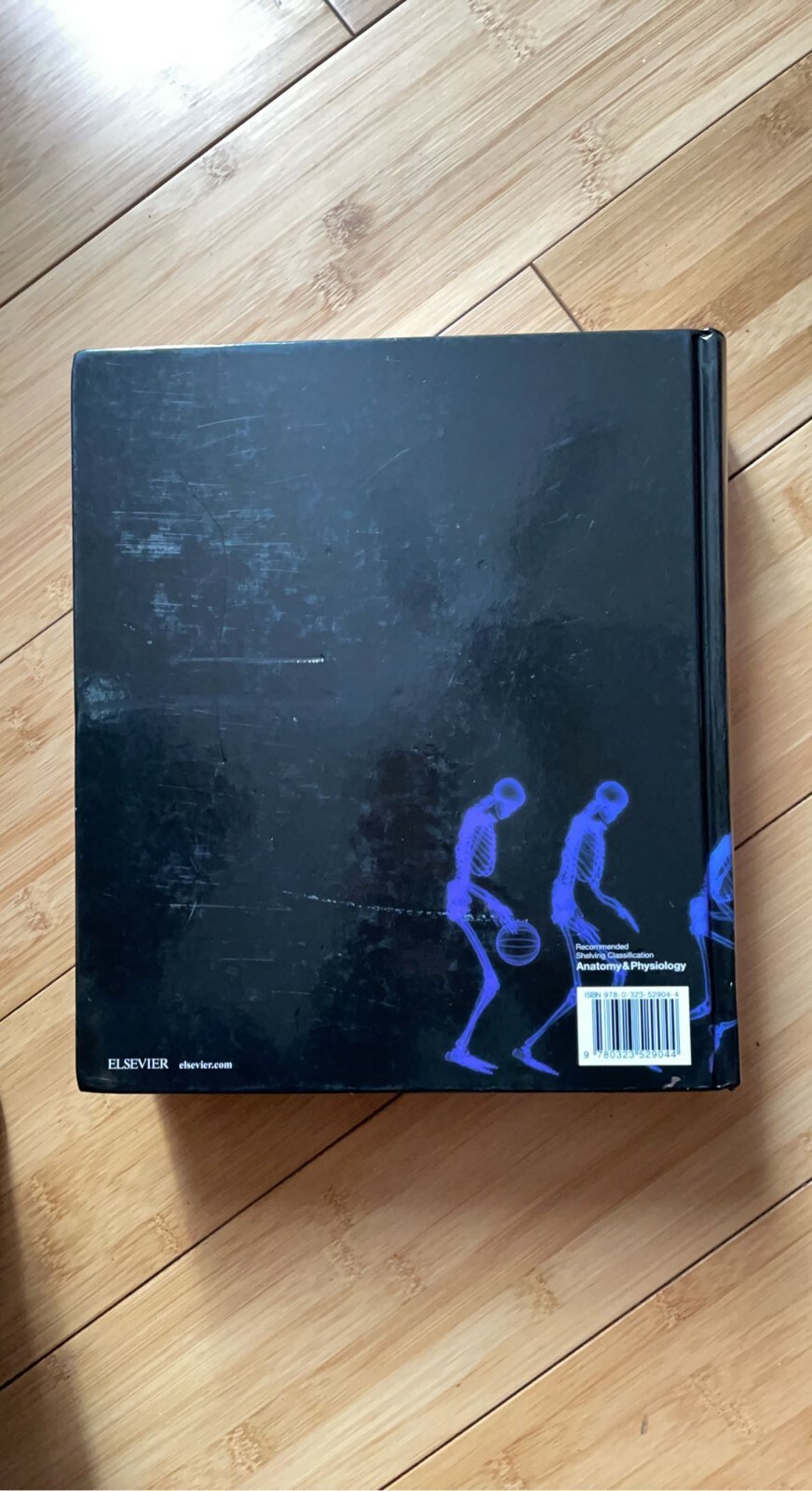brand new college textbooks