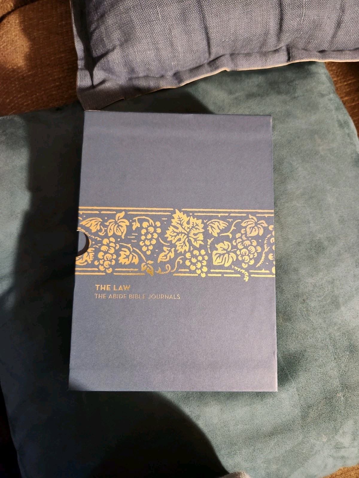 Abide Bible Journals The Law