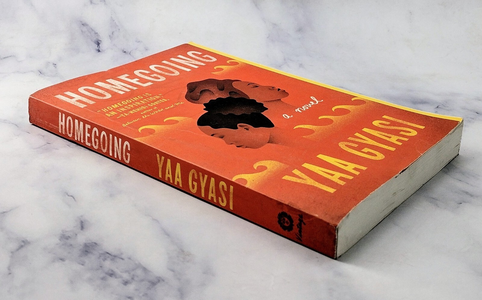 Homegoing by Yaa Gyasi (2017, Trade Paperback) New, Other