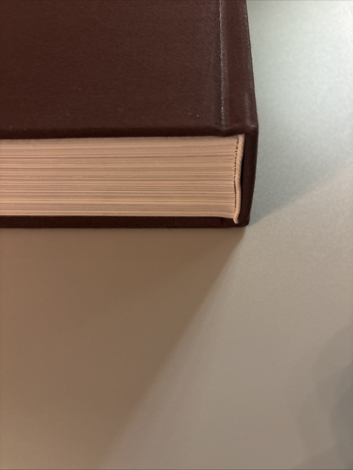 Louis Vuitton : The Birth of Modern Luxury Updated Edition by Louis Vuitton…